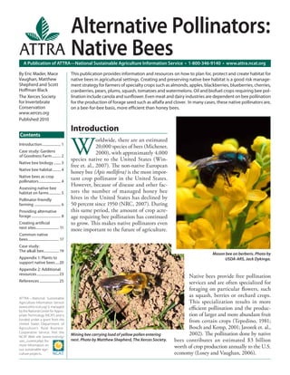 A Publication of ATTRA—National Sustainable Agriculture Information Service • 1-800-346-9140 • www.attra.ncat.org
ATTRA—National Sustainable
Agriculture Information Service
(www.attra.ncat.org) is managed
by the National Center for Appro-
priate Technology (NCAT) and is
funded under a grant from the
United States Department of
Agriculture’s Rural Business-
Cooperative Service. Visit the
NCAT Web site (www.ncat.org/
sarc_current.php) for
more information on
our sustainable agri-
culture projects.
Contents
By Eric Mader, Mace
Vaughan, Matthew
Shepherd and Scott
Hoﬀman Black
The Xerces Society
for Invertebrate
Conservation
www.xerces.org
Published 2010
This publication provides information and resources on how to plan for, protect and create habitat for
native bees in agricultural settings. Creating and preserving native bee habitat is a good risk manage-
ment strategy for farmers of specialty crops such as almonds, apples, blackberries, blueberries, cherries,
cranberries, pears, plums, squash, tomatoes and watermelons. Oil and biofuel crops requiring bee pol-
lination include canola and sunﬂower. Even meat and dairy industries are dependent on bee pollination
for the production of forage seed such as alfalfa and clover. In many cases, these native pollinators are,
on a bee-for-bee basis, more efﬁcient than honey bees.
Alternative Pollinators:
Native Bees
Introduction..................... 1
Case study: Gardens
of Goodness Farm.......... 2
Native bee biology........ 3
Native bee habitat......... 4
Native bees as crop
pollinators......................... 4
Assessing native bee
habitat on farms............. 5
Pollinator-friendly
farming .............................. 6
Providing alternative
forage ................................. 8
Creating artiﬁcial
nest sites.......................... 11
Common native
bees................................... 17
Case study:
The alkali bee................. 19
Appendix 1: Plants to
support native bees....20
Appendix 2: Additional
resources.........................23
References ......................25
Introduction
W
orldwide, there are an estimated
20,000 species of bees (Michener,
2000), with approximately 4,000
species native to the United States (Win-
free et. al., 2007). The non-native European
honey bee (Apis mellifera) is the most impor-
tant crop pollinator in the United States.
However, because of disease and other fac-
tors the number of managed honey bee
hives in the United States has declined by
50 percent since 1950 (NRC, 2007). During
this same period, the amount of crop acre-
age requiring bee pollination has continued
to grow. This makes native pollinators even
more important to the future of agriculture.
Native bees provide free pollination
services and are often specialized for
foraging on particular ﬂowers, such
as squash, berries or orchard crops.
This specialization results in more
eﬃcient pollination and the produc-
tion of larger and more abundant fruit
from certain crops (Tepedino, 1981;
Bosch and Kemp, 2001; Javorek et. al.,
2002). The pollination done by native
bees contributes an estimated $3 billion
worth of crop production annually to the U.S.
economy (Losey and Vaughan, 2006).
Mason bee on berberis. Photo by
USDA-ARS, Jack Dykinga.
Mining bee carrying load of yellow pollen entering
nest. Photo by Matthew Shepherd, The Xerces Society.
 