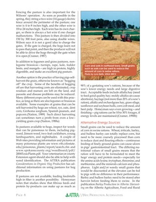 //HOG PRODUCTION ALTERNATIVESPAGE 8
Fencing the pasture is also important for the
Wilsons’ operation. As soon as possible in the
spring, they string a two-wire (14-gauge) electric
fence around the perimeter of the pasture; one
wire is 4 to 8 inches high, and the other wire is
18 to 24 inches high. Each wire has its own char-
ger, so there is always a hot wire if one charger
malfunctions. This pasture is then divided into
150 by 300 foot pens, also using double wires.
Wilson says it is not a good idea to charge the
gates. If the gate is charged, the hogs learn not
to pass that point, and then the producer will not
be able to drive the hogs through the gate when
it is open.(Cramer, 1987)
In addition to legumes and grass pastures, non-
legume brassicas—turnips, rape, kale, fodder
beets, and mangels—are high in protein, highly
digestible, and make an excellent pig pasture.
Another option is the practice of having pigs self-
harvest the grain, otherwise known as “hogging
off” the crop. Some of the beneﬁts of hogging
off are that harvesting costs are eliminated, crop
residues and manure are left on the land, and
parasite and disease problems may be reduced.
Many different crops can be used with this prac-
tice, as long as there are also legumes or brassicas
available. Some examples of grains that can be
self-harvested by hogs are wheat, rye, oats, dent
corn, Grohoma sorghum, Spanish peanuts, and
popcorn.(Nation, 1989) Such direct harvesting
can sometimes turn a proﬁt from even a low–
yielding grain crop.(Nation, 1988a)
In pastures available to hogs, inspect for weeds
that can be poisonous to them, including pig-
weed, Jimson weed, two–leaf cockleburs, young
lambsquarters, and nightshades. A couple of
Web sites providing information and pictures of
many poisonous plants are www.vth.colostate.
edu/poisonous_plants/report/search.cfm and
www.spokanecounty.org/weedboard/pdf/
2004ToxicPlants.pdf. Your veterinarian or county
Extension agent should also be able to help with
weed identiﬁcation. The ATTRA publication
Considerations in Organic Hog Production has ad-
ditional information on using pastures for hog
production.
If pastures are not available, feeding feedstuffs
high in ﬁber is another possibility. Honeyman
notes that studies show that ﬁbrous feeds and
protein by-products can make up as much as
90% of a gestating sow’s rations, because of the
sow’s lower energy needs and large digestive
tract. Acceptable feeds include alfalfa hay (need
to feed good quality hay; moldy alfalfa can cause
abortions), haylage (not more than 20% of a sow’s
ration), alfalfa and orchardgrass hay, grass silage,
sunﬂower and soybean hulls, corn-cob meal, and
beet pulp. Honeyman says even growing—and
ﬁnishing—pig rations can be 10 to 30% forages, if
energy levels are maintained.(Cramer, 1990b)
Alternative Energy Sources
Small grains can be used to reduce the amount
of corn in swine rations. Wheat, triticale, barley,
and hulless barley can totally replace corn, but
need to be more coarsely processed than corn
to reduce dust and ﬂouring effects—continuous
feeding of ﬁnely ground grains can cause ulcers
in pigs’ gastrointestinal tract. The differing nu-
tritional values of small grains means that the
ration will have to be formulated to meet the
hogs’ energy and protein needs—especially for
the amino acids lysine, trytophan, threonine, and
methionine, and the minerals calcium and phos-
phorus. Light and/or weedy small grains that
would be discounted at the elevator can be fed
to pigs with no difference in their performance.
Barley and hulless barley need to be stored after
harvest before feeding them to swine. In the
publication Barley Production in Alberta: Harvest-
ing on the Alberta Agriculture, Food and Rural
Corn and oats in northeast Iowa. Small grains
such as oats can be used to reduce the
amount of corn in swine rations.
Photo by Lynn Betts, USDA NRCS
 