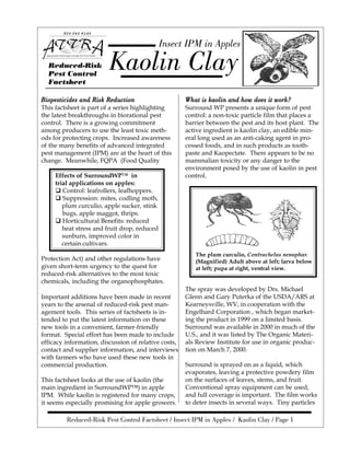 Kaolin Clay
Insect IPM in Apples
Reduced-Risk
Pest Control
Factsheet
Biopesticides and Risk ReductionBiopesticides and Risk ReductionBiopesticides and Risk ReductionBiopesticides and Risk ReductionBiopesticides and Risk Reduction
This factsheet is part of a series highlighting
the latest breakthroughs in biorational pest
control. There is a growing commitment
among producers to use the least toxic meth-
ods for protecting crops. Increased awareness
of the many benefits of advanced integrated
pest management (IPM) are at the heart of this
change. Meanwhile, FQPA (Food Quality
Protection Act) and other regulations have
given short-term urgency to the quest for
reduced-risk alternatives to the most toxic
chemicals, including the organophosphates.
Effects of SurroundWP™ in
trial applications on apples:
! Control: leafrollers, leafhoppers.
! Suppression: mites, codling moth,
plum curculio, apple sucker, stink
bugs, apple maggot, thrips.
! Horticultural Benefits: reduced
heat stress and fruit drop, reduced
sunburn, improved color in
certain cultivars.
The spray was developed by Drs. Michael
Glenn and Gary Puterka of the USDA/ARS at
Kearneysville, WV, in cooperation with the
Engelhard Corporation , which began market-
ing the product in 1999 on a limited basis.
Surround was available in 2000 in much of the
U.S., and it was listed by The Organic Materi-
als Review Institute for use in organic produc-
tion on March 7, 2000.
Important additions have been made in recent
years to the arsenal of reduced-risk pest man-
agement tools. This series of factsheets is in-
tended to put the latest information on these
new tools in a convenient, farmer-friendly
format. Special effort has been made to include
efficacy information, discussion of relative costs,
contact and supplier information, and interviews
with farmers who have used these new tools in
commercial production.
This factsheet looks at the use of kaolin (the
main ingredient in SurroundWP™) in apple
IPM. While kaolin is registered for many crops,
it seems especially promising for apple growers.
What is kaolin and how does it work?What is kaolin and how does it work?What is kaolin and how does it work?What is kaolin and how does it work?What is kaolin and how does it work?
Surround WP presents a unique form of pest
control: a non-toxic particle film that places a
barrier between the pest and its host plant. The
active ingredient is kaolin clay, an edible min-
eral long used as an anti-caking agent in pro-
cessed foods, and in such products as tooth-
paste and Kaopectate. There appears to be no
mammalian toxicity or any danger to the
environment posed by the use of kaolin in pest
control.
Surround is sprayed on as a liquid, which
evaporates, leaving a protective powdery film
on the surfaces of leaves, stems, and fruit.
Conventional spray equipment can be used,
and full coverage is important. The film works
to deter insects in several ways. Tiny particles
Reduced-Risk Pest Control Factsheet / Insect IPM in Apples / Kaolin Clay / Page 1
The plum curculio, Contrachelus nenuphar.
(Magnified) Adult above at left; larva below
at left; pupa at right, ventral view.
800-346-9140
AppropriateTechnologyTransferforRuralAreas
 