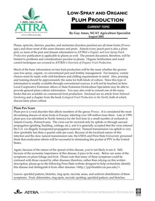 IS A PROJECT OF THE NATIONAL CENTER FOR APPROPRIATE TECHNOLOGY
Plums, apricots, cherries, peaches, and nectarines (fuzzless peaches) are all stone fruits (Prunus
spp.) and share most of the same diseases and pests. Almost every peach pest is also a plum
pest, so most of the pest and disease information in ATTRA’s Organic and Low-Spray Peach
Production publication is applicable to plums as well. The present document, therefore, will be
limited to problems and considerations peculiar to plums. Organic fertilization and weed
control techniques are covered in ATTRA’s Overview of Organic Fruit Production.
Much of the basic information on tree fruit production will be the same whether the grower
uses low-spray, organic, or conventional pest and fertility management. For instance, variety
choices must be made with cold-hardiness and chilling requirements in mind. Also, pruning
and training should be approximately the same for both kinds of culture. Since this type of
information is readily available through conventional sources, it will not be touched on here.
Local Cooperative Extension offices or State Extension Horticulture Specialists may be able to
provide general plum culture information. You may also wish to consult one of the many
books that are available on commercial fruit production. Enclosed are an article from National
Gardening and a chapter from the book Ecological Fruit Production in the North, both of which
discuss basic plum culture.
Plum Pox Scare
Plum pox is a viral disorder that affects members of the genus Prunus. It is considered the most
devastating disease of stone fruits in Europe, infecting over 100 million trees there. Late in 1999,
plum pox was identified in North America for the first time in a small number of orchards in
Adams County, Pennsylvania. The virus can be vectored only by aphids or through asexual
propagation (grafting, budding, cuttings, etc.), and it is generally accepted that the virus entered
the U.S. via illegally transported propagation material. Natural transmission via aphids is very
slow (probably less than a quarter mile per year). Because of the localized nature of this
infection and the slow natural transmission rate, the USDA and Penn State University personnel
think that eradication efforts will be successful in eliminating this pocket of PPV in the United
States.
Again, because of the nature of the spread of this disease, you’re not likely to see it. Still,
because of the economic importance of this disease, it pays to be wary. Below are some of the
symptoms on plum foliage and fruit. Please note that many of these symptoms could be
confused with those caused by other diseases; therefore, rather than relying on this written
description, please go to the following Penn State website designed to help orchardists identify
this disease and distinguish it from other diseases: <http://ppvbooklet.cas.psu.edu/>.
Leaves: speckled pattern, blotches, ring spots, necrotic areas, and uniform distribution of these
symptoms. Fruit: deformities, ring spots, necrotic spotting, speckled pattern, and blotches.
LOW-SPRAY AND ORGANIC
PLUM PRODUCTION
By Guy Ames, NCAT Agriculture Specialist
August 2001
CURRENT TOPIC
 