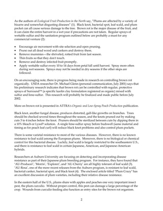 2
As the authors of Ecological Fruit Production in the North say, “Plums are affected by a variety of
bizarre and somewhat disgusting diseases” (1). Black knot, bacterial spot, leaf scald, and plum
pocket can all cause serious damage to the tree. Brown rot is the major disease of the fruit, and
it can claim the entire harvest in a wet year if precautions are not taken. Regular sprays of
wettable sulfur and the sanitation program outlined below are probably a must for any
commercial venture (2):
• Encourage air movement with site selection and open pruning.
• Prune out all dead wood and cankers and destroy them.
• Remove mummies—the shriveled, rotted fruit from last season.
• Thin fruits so that they don't touch.
• Remove and destroy infected fruit promptly.
• Apply wettable sulfur every 10 to 14 days from petal fall until harvest. Spray more often
during wet seasons. Sprays may not be needed in dry seasons if the other steps are
followed.
On an encouraging note, there is progress being made in research on controlling brown rot
organically. USDA researcher Dr. Michael Glenn (personal communication, July 2001) says that
his preliminary research indicates that brown rot can be controlled with regular, protective
sprays of Surround (a specific kaolin clay formulation registered as organic) mixed with
sulfur and lime-sulfur. This research will probably be finalized and made public before July
2002.
More on brown rot is presented in ATTRA's Organic and Low-Spray Peach Production publication.
Black knot, another fungal disease, produces distorted, gall-like growths on branches. Trees
should be checked several times throughout the season, and the knots pruned out by making
cuts 3 to 4 inches below the knot. Pruners should be sterilized between cuts by dipping them in
a 10% bleach or Lysol® solution. A single lime-sulfur spray before budswell (same material and
timing as for peach leaf curl) will reduce black knot problems and also control plum pockets.
There is some varietal resistance to most of the various diseases. However, there is no known
resistance to leaf scald among the European plums. Moreover, there is no biological or chemical
control for this bacterial disease. Luckily, leaf scald is largely restricted to the southeastern U.S.,
and there is resistance to leaf scald in certain Japanese, American, and Japanese-American
hybrids.
Researchers at Auburn University are focusing on detecting and incorporating disease
resistance as part of their Japanese plum breeding program. For instance, they have found that
‘AU-Producer’, ‘Morris’, ‘Explorer’, and ‘AU-Cherry’ are all highly tolerant of leaf scald (3).
‘AU-Rosa’, one of the more recent releases from the Auburn program, is resistant to leaf scald,
bacterial canker, bacterial spot, and black knot (4). The enclosed article titled "Plum Crazy" has
an excellent discussion of plum varieties, including their relative disease resistance.
In the eastern half of the U.S., plums share with apples and peaches one very important insect
pest, the plum curculio. Without proper control, this pest can damage a large percentage of the
crop. Wounds from curculio feeding also function as entry sites for the brown rot organism.
 