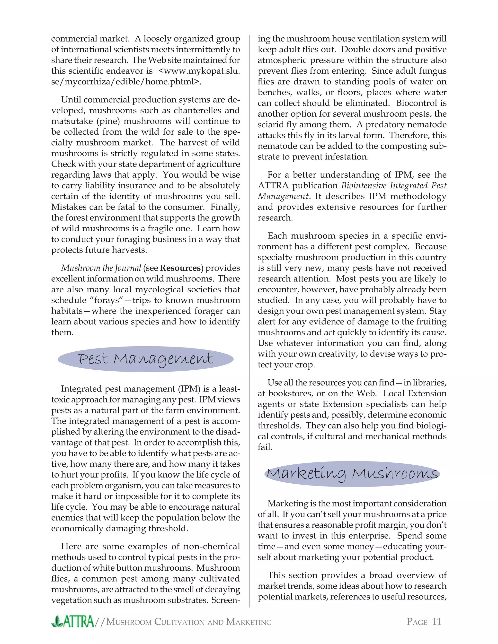 //MUSHROOM CULTIVATION AND MARKETING PAGE 11
commercial market. A loosely organized group
of international scientists meets intermittently to
share their research. The Web site maintained for
this scientiﬁc endeavor is <www.mykopat.slu.
se/mycorrhiza/edible/home.phtml>.
Until commercial production systems are de-
veloped, mushrooms such as chanterelles and
matsutake (pine) mushrooms will continue to
be collected from the wild for sale to the spe-
cialty mushroom market. The harvest of wild
mushrooms is strictly regulated in some states.
Check with your state department of agriculture
regarding laws that apply. You would be wise
to carry liability insurance and to be absolutely
certain of the identity of mushrooms you sell.
Mistakes can be fatal to the consumer. Finally,
the forest environment that supports the growth
of wild mushrooms is a fragile one. Learn how
to conduct your foraging business in a way that
protects future harvests.
Mushroom the Journal (see Resources) provides
excellent information on wild mushrooms. There
are also many local mycological societies that
schedule “forays”—trips to known mushroom
habitats—where the inexperienced forager can
learn about various species and how to identify
them.
Pest Management
Integrated pest management (IPM) is a least-
toxic approach for managing any pest. IPM views
pests as a natural part of the farm environment.
The integrated management of a pest is accom-
plished by altering the environment to the disad-
vantage of that pest. In order to accomplish this,
you have to be able to identify what pests are ac-
tive, how many there are, and how many it takes
to hurt your proﬁts. If you know the life cycle of
each problem organism, you can take measures to
make it hard or impossible for it to complete its
life cycle. You may be able to encourage natural
enemies that will keep the population below the
economically damaging threshold.
Here are some examples of non-chemical
methods used to control typical pests in the pro-
duction of white button mushrooms. Mushroom
ﬂies, a common pest among many cultivated
mushrooms, are attracted to the smell of decaying
vegetation such as mushroom substrates. Screen-
ing the mushroom house ventilation system will
keep adult ﬂies out. Double doors and positive
atmospheric pressure within the structure also
prevent ﬂies from entering. Since adult fungus
ﬂies are drawn to standing pools of water on
benches, walks, or ﬂoors, places where water
can collect should be eliminated. Biocontrol is
another option for several mushroom pests, the
sciarid ﬂy among them. A predatory nematode
attacks this ﬂy in its larval form. Therefore, this
nematode can be added to the composting sub-
strate to prevent infestation.
For a better understanding of IPM, see the
ATTRA publication Biointensive Integrated Pest
Management. It describes IPM methodology
and provides extensive resources for further
research.
Each mushroom species in a speciﬁc envi-
ronment has a different pest complex. Because
specialty mushroom production in this country
is still very new, many pests have not received
research attention. Most pests you are likely to
encounter, however, have probably already been
studied. In any case, you will probably have to
design your own pest management system. Stay
alert for any evidence of damage to the fruiting
mushrooms and act quickly to identify its cause.
Use whatever information you can ﬁnd, along
with your own creativity, to devise ways to pro-
tect your crop.
Use all the resources you can ﬁnd—in libraries,
at bookstores, or on the Web. Local Extension
agents or state Extension specialists can help
identify pests and, possibly, determine economic
thresholds. They can also help you ﬁnd biologi-
cal controls, if cultural and mechanical methods
fail.
Marketing Mushrooms
Marketing is the most important consideration
of all. If you can’t sell your mushrooms at a price
that ensures a reasonable proﬁt margin, you don’t
want to invest in this enterprise. Spend some
time—and even some money—educating your-
self about marketing your potential product.
This section provides a broad overview of
market trends, some ideas about how to research
potential markets, references to useful resources,
 