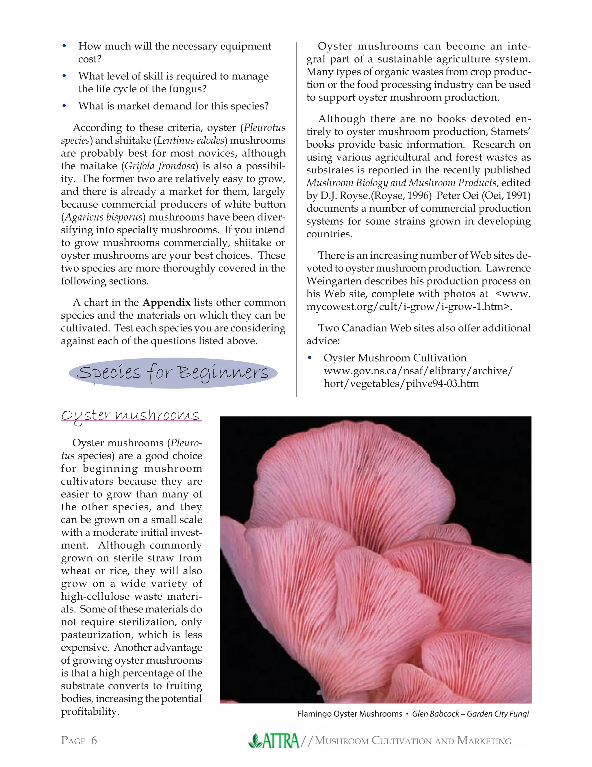 //MUSHROOM CULTIVATION AND MARKETINGPAGE 6
How much will the necessary equipment
cost?
What level of skill is required to manage
the life cycle of the fungus?
What is market demand for this species?
According to these criteria, oyster (Pleurotus
species) and shiitake (Lentinus edodes) mushrooms
are probably best for most novices, although
the maitake (Grifola frondosa) is also a possibil-
ity. The former two are relatively easy to grow,
and there is already a market for them, largely
because commercial producers of white button
(Agaricus bisporus) mushrooms have been diver-
sifying into specialty mushrooms. If you intend
to grow mushrooms commercially, shiitake or
oyster mushrooms are your best choices. These
two species are more thoroughly covered in the
following sections.
A chart in the Appendix lists other common
species and the materials on which they can be
cultivated. Test each species you are considering
against each of the questions listed above.
Species for Beginners
Oyster mushrooms
Oyster mushrooms (Pleuro-
tus species) are a good choice
for beginning mushroom
cultivators because they are
easier to grow than many of
the other species, and they
can be grown on a small scale
with a moderate initial invest-
ment. Although commonly
grown on sterile straw from
wheat or rice, they will also
grow on a wide variety of
high-cellulose waste materi-
als. Some of these materials do
not require sterilization, only
pasteurization, which is less
expensive. Another advantage
of growing oyster mushrooms
is that a high percentage of the
substrate converts to fruiting
bodies, increasing the potential
proﬁtability.
•
•
•
Oyster mushrooms can become an inte-
gral part of a sustainable agriculture system.
Many types of organic wastes from crop produc-
tion or the food processing industry can be used
to support oyster mushroom production.
Although there are no books devoted en-
tirely to oyster mushroom production, Stamets’
books provide basic information. Research on
using various agricultural and forest wastes as
substrates is reported in the recently published
Mushroom Biology and Mushroom Products, edited
by D.J. Royse.(Royse, 1996) Peter Oei (Oei, 1991)
documents a number of commercial production
systems for some strains grown in developing
countries.
There is an increasing number of Web sites de-
voted to oyster mushroom production. Lawrence
Weingarten describes his production process on
his Web site, complete with photos at <www.
mycowest.org/cult/i-grow/i-grow-1.htm>.
Two Canadian Web sites also offer additional
advice:
Oyster Mushroom Cultivation
www.gov.ns.ca/nsaf/elibrary/archive/
hort/vegetables/pihve94-03.htm
•
Flamingo Oyster Mushrooms • Glen Babcock – Garden City Fungi
 