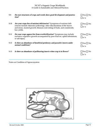 Revised October 2003 Page 31
NCAT’s Organic Crops Workbook:
A Guide to Sustainable and Allowed Practices
9.9 Do root structures of crops and weeds show good development and penetra-
tion?
9.10 Are your crops free of nutrient deficiencies? Symptoms of nutrient defi-
ciencies include chlorosis (yellowing), other discolorations of the leaves
and stems, stunted growth, blossom-end rotting of fruits, and consistently
low yields.
9.11 Do your crops appear free from overfertilization? Symptoms may include
excessive vegetative growth accompanied by poor fruit set, aphid infestations,
or salt injury.
9.12 Is there an abundance of beneficial predatory and parasitic insects under
normal conditions?
9.13 Is there an abundance of pollinating insects when crop is in flower?
Notes on Condition of Agroecosystem
n/a
Yes No
n/a
Yes No
n/a
Yes No
n/a
Yes No
n/a
Yes No
©2004clipart.com
 