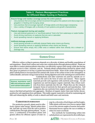 //NUTRIENT CYCLING IN PASTURESPAGE 10
Ensure forage and residue coverage across the entire pasture
• Use practices that encourage animal movement throughout the pasture and discourage con-
gregation in feeding and lounging areas
• Use practices that encourage regrowth of forage plants and discourage overgrazing
• Use a variety of forages with a diversity of root systems and growth characteristics
Pasture management during wet weather
• Use well-drained pastures or a “sacrificial pasture” that is far from waterways or water bodies
• Avoid driving machinery on pastures that are wet or saturated
• Avoid spreading manure or applying fertilizers
Artificial drainage practices
• Avoid grazing animals on artificially drained fields when drains are flowing
• Avoid spreading manure or applying fertilizers when drains are flowing
• Ensure that drains empty into a filter area or wetland rather than directly into a stream or
drainage way
Table 2. Pasture Management Practices
for Efficient Water Cycling in Pastures.
Effective carbon cycling in pastures depends on a diversity of plants and healthy populations of
soil organisms. Plants form carbon and water into carbohydrates through photosynthesis. Plants are
most able to conduct photosynthesis when they can efficiently capture solar energy while also having
adequate access to water, nutrients, and air. Animals obtain carbohydrates formed by plants when
they graze on pastures or eat hay or grains harvested from fields. Some of the carbon and energy in
plant carbohydrates is incorporated into animal cells. Some of the carbon is lost to the atmosphere as
carbon dioxide, and some energy is lost as heat, during digestion and as the animal grows and breathes.
Carbohydrates and other nutrients not used by animals are re-
turned to the soil in the form of urine and manure. These organic
materials provide soil organisms with nutrients and energy. As soil
organisms use and decompose organic materials, they release nutri-
ents from these materials into the soil. Plants then use the released,
inorganic forms of nutrients for their growth and reproduction. Soil
organisms also use nutrients from organic materials to produce sub-
stances that bind soil particles into aggregates. Residues of organic matter that resist further decom-
position by soil organisms form soil humus. This stable organic material is critical for maintaining soil
tilth and enhancing the ability of soils to absorb and hold water and nutrients.
CARBON CYCLE
Humus maintains soil
tilth and enhances water
and nutrient absorption.
CARBOHYDRATE FORMATION
For productive growth, plants need to effec-
tively capture solar energy, absorb carbon diox-
ide, and take up water from the soil to produce
carbohydrates through photosynthesis. In pas-
tures, a combination of broadleaf plants and
grasses allows for efficient capture of solar en-
ergy by a diversity of leaf shapes and leaf angles.
Taller plants with more erect leaves capture light
even at the extreme angles of sunrise and sunset.
Horizontal leaves capture the sun at midday or
when it is more overhead.
Two methods for transforming carbon into
carbohydrates are represented in diversified pas-
 