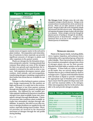 //NUTRIENT CYCLING IN PASTURESPAGE 14
The Nitrogen Cycle. Nitrogen enters the cycle when
atmospheric nitrogen is fixed by bacteria. Nitrogen in the
ammonical form is transformed into nitrite and nitrate by
bacteria. Plants can use either ammonia or nitrate for
growth. Nitrogen in plant cells can be consumed by animals
and returned to the soil as feces or urine. When plants die,
soil organisms decompose nitrogen in plant cells and release
it as ammonia. Nitrate nitrogen can be lost through the
physical process of leaching or through the microbially-
mediated process of denitrification. Nitrogen in the
ammonical form can be lost to the atmosphere in the
chemical process of volatilization.
Table 5. Nitrogen Fixation by Legumes.
#N/acre/ year
Alfalfa -------------------------------------- 150-350
White clover------------------------------ 112-190
Hairy vetch ------------------------------- 110-168
Red clover --------------------------------- 60-200
Soybeans ---------------------------------- 35-150
Annual lespedeza ----------------------- 50-193
Birdsfoot trefoil --------------------------- 30-130
From Joost, 1996 (Reference # 13)
Figure 5. Nitrogen Cycle.
Nitrogen gas (N2
)
(78% of atmosphere)
immobilization
NH4
+
+ OH-
NH3
+ H2
O
legumes
free-living
bacteria
NH4
+
+ NO3
-
T
leaching to
groundwater
T
denitrification
nitrate NO3
-
T
T
plant uptake
TT
crop harvest
Terosion
T
T
T
T
nitrogen in soil
organic matter
TT
T
TNO3
- N2
+ N2
O
Tvolatilization
T
crop and
animal residues
atmospheric fixation
or fertilizer production
T
T
nitrogen
fixation
T T
T
T
T
T
ammonium
NH4
+
mulate stores of organic matter in the soil and in
plant residues. Decomposition and mineraliza-
tion of nutrients in these materials can provide
significant amounts of nitrogen to plants and
other organisms in the pasture system.
Plants use nitrogen for the formation of pro-
teins and genetic material. Grazing animals that
consume these plants use some of the nitrogen
for their own growth and reproduction; the re-
mainder is returned to the earth as urine or ma-
nure. Soil organisms decompose manure, plant
residues, dead animals, and microorganisms,
transforming nitrogen-containing compounds in
their bodies into forms that are available for use
by plants.
Nitrogen is often lacking in pasture systems
since forage requirements for this nutrient are
high and because it is easily lost to the environ-
ment. Nitrogen is lost from pasture systems
through microbiological, chemical, and physical
processes. Dry followed by wet weather pro-
vides optimal conditions for bacteria to transform
nitrogen from plant-available forms into atmo-
spheric nitrogen through denitrification. Chemi-
cal processes also transform plant-available ni-
trogen into atmospheric nitrogen through vola-
tilization. In pastures, this often occurs after ma-
nure or nitrogen fertilizers are applied to the soil
surface, especially during warm weather. Physi-
cal processes are involved in the downward
movement of nitrogen through the soil profile
during leaching.
NITROGEN FIXATION
Plants in the legume family, including alfalfa,
clover, lupines, lespedeza, and soybeans, form a
relationship with a specialized group of bacteria
called rhizobia. These bacteria have the ability to
fix or transform atmospheric nitrogen into a form
of nitrogen plants can use for their growth.
Rhizobia form little balls or nodules on the roots
of legumes. If these balls are white or pinkish
on the inside, they are actively fixing nitrogen.
Nodules that are grey or black inside are dead or
no longer active. Legume seeds should be dusted
with inoculum (a liquid or powder containing
the appropriate type of rhizobia) prior to plant-
ing to ensure that the plant develops many nod-
ules and has maximal ability to fix nitrogen.
Other microorganisms that live in the soil are also
able to fix and provide nitrogen to plants.
 
