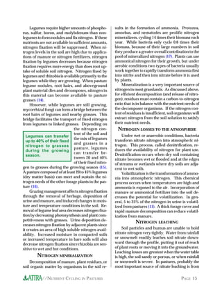 //NUTRIENT CYCLING IN PASTURES PAGE 15
Legumes can transfer
up to 40% of their fixed
nitrogen to grasses
during the growing
season.
Legumes require higher amounts of phospho-
rus, sulfur, boron, and molybdenum than non-
legumes to form nodules and fix nitrogen. If these
nutrients are not available in sufficient amounts,
nitrogen fixation will be suppressed. When ni-
trogen levels in the soil are high due to applica-
tions of manure or nitrogen fertilizers, nitrogen
fixation by legumes decreases because nitrogen
fixation requires more energy than does root up-
take of soluble soil nitrogen. Nitrogen fixed by
legumes and rhizobia is available primarily to the
legumes while they are growing. When pasture
legume nodules, root hairs, and aboveground
plant material dies and decomposes, nitrogen in
this material can become available to pasture
grasses (14).
However, while legumes are still growing,
mycorrhizal fungi can form a bridge between the
root hairs of legumes and nearby grasses. This
bridge facilitates the transport of fixed nitrogen
from legumes to linked grasses. Depending on
the nitrogen con-
tent of the soil and
the mix of legumes
and grasses in a
pasture, legumes
can transfer be-
tween 20 and 40%
of their fixed nitro-
gen to grasses during the growing season (15).
A pasture composed of at least 20 to 45% legumes
(dry matter basis) can meet and sustain the ni-
trogen needs of the other forage plants in the pas-
ture (16).
Grazing management affects nitrogen fixation
through the removal of herbage, deposition of
urine and manure, and induced changes in mois-
ture and temperature conditions in the soil. Re-
moval of legume leaf area decreases nitrogen fixa-
tion by decreasing photosynthesis and plant com-
petitiveness with grasses. Urine deposition de-
creases nitrogen fixation by adjacent plants since
it creates an area of high soluble-nitrogen avail-
ability. Increased moisture in compacted soils
or increased temperature in bare soils will also
decrease nitrogen fixation since rhizobia are sen-
sitive to wet and hot conditions.
NITROGEN MINERALIZATION
Decomposition of manure, plant residues, or
soil organic matter by organisms in the soil re-
sults in the formation of ammonia. Protozoa,
amoebas, and nematodes are prolific nitrogen
mineralizers, cycling 14 times their biomass each
year. While bacteria only cycle 0.6 times their
biomass, because of their large numbers in soil
they produce a greater overall contribution to the
pool of mineralized nitrogen (17). Plants can use
ammonical nitrogen for their growth, but under
aerobic conditions two types of bacteria usually
work together to rapidly transform ammonia first
into nitrite and then into nitrate before it is used
by plants.
Mineralization is a very important source of
nitrogen in most grasslands. As discussed above,
for efficient decomposition (and release of nitro-
gen), residues must contain a carbon-to-nitrogen
ratio that is in balance with the nutrient needs of
the decomposer organisms. If the nitrogen con-
tent of residues is insufficient, soil organisms will
extract nitrogen from the soil solution to satisfy
their nutrient needs.
NITROGEN LOSSES TO THE ATMOSPHERE
Under wet or anaerobic conditions, bacteria
transform nitrate nitrogen into atmospheric ni-
trogen. This process, called denitrification, re-
duces the availability of nitrogen for plant use.
Denitrification occurs when dry soil containing
nitrate becomes wet or flooded and at the edges
of streams or wetlands where dry soils are adja-
cent to wet soils.
Volatilization is the transformation of ammo-
nia into atmospheric nitrogen. This chemical
process occurs when temperatures are high and
ammonia is exposed to the air. Incorporation of
manure or ammonical fertilizer into the soil de-
creases the potential for volatilization. In gen-
eral, 5 to 25% of the nitrogen in urine is volatil-
ized from pastures (11). A thick forage cover and
rapid manure decomposition can reduce volatil-
ization from manure.
NITROGEN LEACHING
Soil particles and humus are unable to hold
nitrate nitrogen very tightly. Water from rainfall
or snowmelt readily leaches soil nitrate down-
ward through the profile, putting it out of reach
of plant roots or moving it into the groundwater.
Leaching losses are greatest when the water table
is high, the soil sandy or porous, or when rainfall
or snowmelt is severe. In pastures, probably the
most important source of nitrate leaching is from
 