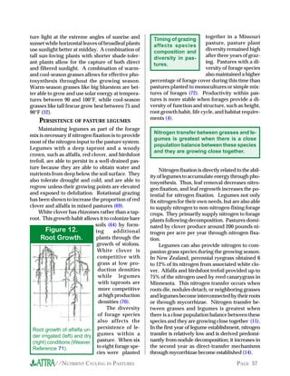 //NUTRIENT CYCLING IN PASTURES PAGE 37
White clover has rhizomes rather than a tap-
root. This growth habit allows it to colonize bare
soils (64) by form-
ing additional
plants through the
growth of stolons.
White clover is
competitive with
grass at low pro-
duction densities
while legumes
with taproots are
more competitive
at high production
densities (70).
The diversity
of forage species
also affects the
persistence of le-
gumes within a
pasture. When six
to eight forage spe-
cies were planted
Figure 12.
Root Growth.
Root growth of alfalfa un-
der irrigated (left) and dry
(right) conditions (Weaver,
Reference 71).
Timing of grazing
affects species
composition and
diversity in pas-
tures.
Nitrogen transfer between grasses and le-
gumes is greatest when there is a close
population balance between these species
and they are growing close together.
together in a Missouri
pasture, pasture plant
diversity remained high
after three years of graz-
ing. Pastures with a di-
versity of forage species
also maintained a higher
percentage of forage cover during this time than
pastures planted to monocultures or simple mix-
tures of forages (72). Productivity within pas-
tures is more stable when forages provide a di-
versity of function and structure, such as height,
root growth habit, life cycle, and habitat require-
ments (4).
ture light at the extreme angles of sunrise and
sunset while horizontal leaves of broadleaf plants
use sunlight better at midday. A combination of
tall sun-loving plants with shorter shade-toler-
ant plants allow for the capture of both direct
and filtered sunlight. A combination of warm-
and cool-season grasses allows for effective pho-
tosynthesis throughout the growing season.
Warm-season grasses like big bluestem are bet-
ter able to grow and use solar energy at tempera-
tures between 90 and 100°F, while cool-season
grasses like tall fescue grow best between 75 and
90°F (32).
PERSISTENCE OF PASTURE LEGUMES
Maintaining legumes as part of the forage
mix is necessary if nitrogen fixation is to provide
most of the nitrogen input to the pasture system.
Legumes with a deep taproot and a woody
crown, such as alfalfa, red clover, and birdsfoot
trefoil, are able to persist in a well-drained pas-
ture because they are able to obtain water and
nutrients from deep below the soil surface. They
also tolerate drought and cold, and are able to
regrow unless their growing points are elevated
and exposed to defoliation. Rotational grazing
has been shown to increase the proportion of red
clover and alfalfa in mixed pastures (69).
Nitrogen fixation is directly related to the abil-
ity of legumes to accumulate energy through pho-
tosynthesis. Thus, leaf removal decreases nitro-
gen fixation, and leaf regrowth increases the po-
tential for nitrogen fixation. Legumes not only
fix nitrogen for their own needs, but are also able
to supply nitrogen to non-nitrogen-fixing forage
crops. They primarily supply nitrogen to forage
plants following decomposition. Pastures domi-
nated by clover produce around 200 pounds ni-
trogen per acre per year through nitrogen fixa-
tion.
Legumes can also provide nitrogen to com-
panion grass species during the growing season.
In New Zealand, perennial ryegrass obtained 6
to 12% of its nitrogen from associated white clo-
ver. Alfalfa and birdsfoot trefoil provided up to
75% of the nitrogen used by reed canarygrass in
Minnesota. This nitrogen transfer occurs when
roots die, nodules detach, or neighboring grasses
and legumes become interconnected by their roots
or through mycorrhizae. Nitrogen transfer be-
tween grasses and legumes is greatest when
there is a close population balance between these
species and they are growing close together (15).
In the first year of legume establishment, nitrogen
transfer is relatively low and is derived predomi-
nantly from nodule decomposition; it increases in
the second year as direct-transfer mechanisms
through mycorrhizae become established (14).
 