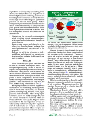//NUTRIENT CYCLING IN PASTURESPAGE 4
degradation of water quality for drinking, recre-
ational, or wildlife habitat uses. Regulations on
the use of phosphorus-containing materials are
becoming more widespread as society becomes
increasingly aware of the impacts agricultural
practices can have on water quality. Pasture
management practices must balance the need to
ensure sufficient availability of phosphorus for
plant growth with the need to minimize move-
ment of phosphorus from fields to streams. Pas-
ture management practices that protect this bal-
ance include:
• Minimizing the potential for compaction
while providing organic inputs to enhance
activities of soil organisms and phosphorus
mineralization
• Incorporating manure and phosphorus fer-
tilizers into the soil and never applying these
materials to saturated, snow-covered, or fro-
zen soils
• Relying on soil tests, phosphorus index
guidelines, and other nutrient management
practices when applying fertilizers and ma-
nure to pastures
SOIL LIFE
Soil is a matrix of pore spaces filled with wa-
ter and air, minerals, and organic matter. Al-
though comprising only 1 to 6% of the soil, liv-
ing and decomposed organisms are certainly of
the essence. They provide plant nutrients, cre-
ate soil structure, hold water, and mediate nutri-
ent transformations. Soil organic matter is com-
posed of three components: stable humus,
readily decomposable materials, and living or-
ganisms — also described as the very dead, the
dead, and the living components of soil (1).
Living organisms in soil include larger fauna
such as moles and prairie dogs, macroorganisms
such as insects and earthworms, and microor-
ganisms including fungi, bacteria, yeasts, algae,
protozoa, and nematodes. These living organ-
isms break down the readily decomposable plant
and animal material into nutrients, which are
then available for plant uptake. Organic matter
residues from this decomposition process are
subsequently broken down by other organisms
until all that remains are complex compounds
resistant to decomposition. These complex end
products of decomposition are known as humus.
Humus, along with fungal threads, bacterial
gels, and earthworm feces, forms glues that hold
soil particles together in aggregates. These con-
stitute soil structure, enhance soil porosity, and
allow water, air, and nutrients to flow through
the soil. These residues of soil organisms also en-
hance the soil's nutrient and water holding ca-
pacity. Lichens, algae, fungi, and bacteria form
biological crusts over the soil surface. These
crusts are important, especially in arid range-
lands, for enhancing water infiltration and pro-
viding nitrogen fixation (2). Maintaining a sub-
stantial population of legumes in the pasture also
ensures biological nitrogen fixation by bacteria
associated with legume roots.
Effective nutrient cycling in the soil is highly
dependent on an active and diverse community
of soil organisms. Management practices that
maintain the pasture soil as a habitat favorable
for soil organisms include:
• Maintaining a diversity of forages, which
promotes a diverse population of soil organ-
isms by providing them with a varied diet
• Adding organic matter, such as forage resi-
dues and manure, to the soil to provide food
for soil organisms and facilitate the forma-
tion of aggregates
• Preventing soil compaction and soil satura-
tion, and avoiding the addition of amend-
ments that might kill certain populations of
soil organisms
Soil contains 1-6% organic matter. Organic matter
contains 3-9% active microorganisms. These organisms
include plant life, bacteria and actinomycetes, fungi, yeasts,
algae, protozoa, and nematodes.
Figure 2. Components of
Soil Organic Matter.
Soil Organic
Matter
Soil Microbial
Biomass
Soil
Readily
decomposable
7-21%
Fauna 10%
Fungi 50%
Yeast, algae,
protozoa,
nematodes
10%
Bacteria &
Actinomycetes 30%
Mineral
particles
Stable Humus
70-90%
T
T
T
T
T
TT
 