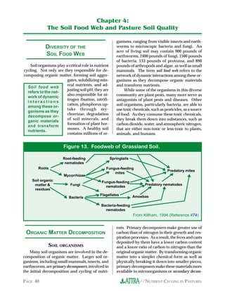 //NUTRIENT CYCLING IN PASTURESPAGE 40
Soil organisms play a critical role in nutrient
cycling. Not only are they responsible for de-
composing organic matter, forming soil aggre-
gates, solubilizing min-
eral nutrients, and ad-
justing soil pH; they are
also responsible for ni-
trogen fixation, nitrifi-
cation, phosphorus up-
take through my-
chorrizae, degradation
of soil minerals, and
formation of plant hor-
mones. A healthy soil
contains millions of or-
ganisms, ranging from visible insects and earth-
worms to microscopic bacteria and fungi. An
acre of living soil may contain 900 pounds of
earthworms, 2400 pounds of fungi, 1500 pounds
of bacteria, 133 pounds of protozoa, and 890
pounds of arthropods and algae, as well as small
mammals. The term soil food web refers to the
network of dynamic interactions among these or-
ganisms as they decompose organic materials
and transform nutrients.
While some of the organisms in this diverse
community are plant pests, many more serve as
antagonists of plant pests and diseases. Other
soil organisms, particularly bacteria, are able to
use toxic chemicals, such as pesticides, as a source
of food. As they consume these toxic chemicals,
they break them down into substances, such as
carbon dioxide, water, and atmospheric nitrogen,
that are either non-toxic or less-toxic to plants,
animals, and humans.
SOIL ORGANISMS
Many soil organisms are involved in the de-
composition of organic matter. Larger soil or-
ganisms, including small mammals, insects, and
earthworms, are primary decomposers, involved in
the initial decomposition and cycling of nutri-
Chapter 4:
The Soil Food Web and Pasture Soil Quality
DIVERSITY OF THE
SOIL FOOD WEB
ORGANIC MATTER DECOMPOSITION
Soil food web
refers to the net-
work of dynamic
i n t e r a c t i o n s
among these or-
ganisms as they
decompose or-
ganic materials
and transform
nutrients.
Figure 13. Foodweb of Grassland Soil.
Springtails
Predatory mites
Predatory nematodes
Amoebas
Bacteria-feeding
nematodes
Bacteria
Fungi
Soil organic
matter &
residues
Mycorrhizae
Root-feeding
nematodes
Roots Fungus-feeding
mites
Fungus-feeding
nematodes
FlagellatesT
T
T
T
T
T
T
T
T
T
T
T
TT
T
T
TT
T
T
T
T
T
From Killham, 1994 (Reference #74)
ents. Primary decomposers make greater use of
carbon than of nitrogen in their growth and res-
piration processes. As a result, the feces and casts
deposited by them have a lower carbon content
and a lower ratio of carbon to nitrogen than the
original organic matter. By transforming organic
matter into a simpler chemical form as well as
physically breaking it down into smaller pieces,
primary decomposers make these materials more
available to microorganisms or secondary decom-
 