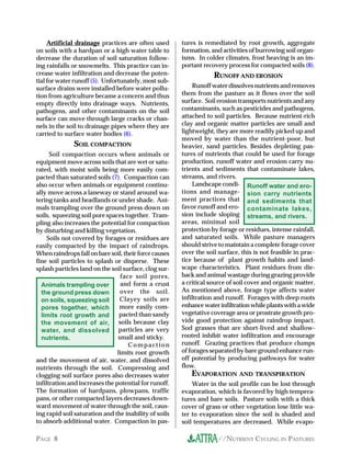 //NUTRIENT CYCLING IN PASTURESPAGE 8
Artificial drainage practices are often used
on soils with a hardpan or a high water table to
decrease the duration of soil saturation follow-
ing rainfalls or snowmelts. This practice can in-
crease water infiltration and decrease the poten-
tial for water runoff (5). Unfortunately, most sub-
surface drains were installed before water pollu-
tion from agriculture became a concern and thus
empty directly into drainage ways. Nutrients,
pathogens, and other contaminants on the soil
surface can move through large cracks or chan-
nels in the soil to drainage pipes where they are
carried to surface water bodies (6).
SOIL COMPACTION
Soil compaction occurs when animals or
equipment move across soils that are wet or satu-
rated, with moist soils being more easily com-
pacted than saturated soils (7). Compaction can
also occur when animals or equipment continu-
ally move across a laneway or stand around wa-
tering tanks and headlands or under shade. Ani-
mals trampling over the ground press down on
soils, squeezing soil pore spaces together. Tram-
pling also increases the potential for compaction
by disturbing and killing vegetation.
Soils not covered by forages or residues are
easily compacted by the impact of raindrops.
When raindrops fall on bare soil, their force causes
fine soil particles to splash or disperse. These
splash particles land on the soil surface, clog sur-
face soil pores,
and form a crust
over the soil.
Clayey soils are
more easily com-
pacted than sandy
soils because clay
particles are very
small and sticky.
Compaction
limits root growth
and the movement of air, water, and dissolved
nutrients through the soil. Compressing and
clogging soil surface pores also decreases water
infiltration and increases the potential for runoff.
The formation of hardpans, plowpans, traffic
pans, or other compacted layers decreases down-
ward movement of water through the soil, caus-
ing rapid soil saturation and the inability of soils
to absorb additional water. Compaction in pas-
tures is remediated by root growth, aggregate
formation, and activities of burrowing soil organ-
isms. In colder climates, frost heaving is an im-
portant recovery process for compacted soils (8).
RUNOFF AND EROSION
Runoff water dissolves nutrients and removes
them from the pasture as it flows over the soil
surface. Soil erosion transports nutrients and any
contaminants, such as pesticides and pathogens,
attached to soil particles. Because nutrient-rich
clay and organic matter particles are small and
lightweight, they are more readily picked up and
moved by water than the nutrient-poor, but
heavier, sand particles. Besides depleting pas-
tures of nutrients that could be used for forage
production, runoff water and erosion carry nu-
trients and sediments that contaminate lakes,
streams, and rivers.
Landscape condi-
tions and manage-
ment practices that
favor runoff and ero-
sion include sloping
areas, minimal soil
protection by forage or residues, intense rainfall,
and saturated soils. While pasture managers
should strive to maintain a complete forage cover
over the soil surface, this is not feasible in prac-
tice because of plant growth habits and land-
scape characteristics. Plant residues from die-
back and animal wastage during grazing provide
a critical source of soil cover and organic matter.
As mentioned above, forage type affects water
infiltration and runoff. Forages with deep roots
enhancewaterinfiltrationwhileplantswithawide
vegetative coverage area or prostrate growth pro-
vide good protection against raindrop impact.
Sod grasses that are short-lived and shallow-
rooted inhibit water infiltration and encourage
runoff. Grazing practices that produce clumps
of forages separated by bare ground enhance run-
off potential by producing pathways for water
flow.
Runoff water and ero-
sion carry nutrients
and sediments that
contaminate lakes,
streams, and rivers.
EVAPORATION AND TRANSPIRATION
Water in the soil profile can be lost through
evaporation, which is favored by high tempera-
tures and bare soils. Pasture soils with a thick
cover of grass or other vegetation lose little wa-
ter to evaporation since the soil is shaded and
soil temperatures are decreased. While evapo-
Animals trampling over
the ground press down
on soils, squeezing soil
pores together, which
limits root growth and
the movement of air,
water, and dissolved
nutrients.
 