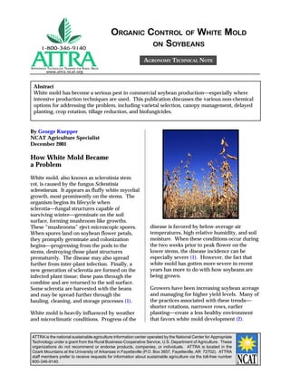 APPROPRIATE TECHNOLOGY TRANSFER FOR RURAL AREAS
www.attra.ncat.org
ATTRA is the national sustainable agriculture information center operated by the National Center for Appropriate
Technology under a grant from the Rural Business-Cooperative Service, U.S. Department of Agriculture. These
organizations do not recommend or endorse products, companies, or individuals. ATTRA is located in the
Ozark Mountains at the University of Arkansas in Fayetteville (P.O. Box 3657, Fayetteville, AR 72702). ATTRA
staff members prefer to receive requests for information about sustainable agriculture via the toll-free number
800-346-9140.
By George Kuepper
NCAT Agriculture Specialist
December 2001
AGRONOMY TECHNICAL NOTE
Abstract
White mold has become a serious pest in commercial soybean productionespecially where
intensive production techniques are used. This publication discusses the various non-chemical
options for addressing the problem, including varietal selection, canopy management, delayed
planting, crop rotation, tillage reduction, and biofungicides.
ORGANIC CONTROL OF WHITE MOLD
ON SOYBEANS
How White Mold Became
a Problem
White mold, also known as sclerotinia stem
rot, is caused by the fungus Sclerotinia
sclerotiorum. It appears as fluffy white mycelial
growth, most prominently on the stems. The
organism begins its lifecycle when
sclerotiafungal structures capable of
surviving wintergerminate on the soil
surface, forming mushroom-like growths.
These “mushrooms” eject microscopic spores.
When spores land on soybean flower petals,
they promptly germinate and colonization
beginsprogressing from the pods to the
stems, destroying those plant structures
prematurely. The disease may also spread
further from inter-plant infection. Finally, a
new generation of sclerotia are formed on the
infected plant tissue; these pass through the
combine and are returned to the soil surface.
Some sclerotia are harvested with the beans
and may be spread further through the
hauling, cleaning, and storage processes (1).
White mold is heavily influenced by weather
and microclimatic conditions. Progress of the
disease is favored by below-average air
temperatures, high relative humidity, and soil
moisture. When these conditions occur during
the two weeks prior to peak flower on the
lower stems, the disease incidence can be
especially severe (1). However, the fact that
white mold has gotten more severe in recent
years has more to do with how soybeans are
being grown.
Growers have been increasing soybean acreage
and managing for higher yield levels. Many of
the practices associated with these trends
shorter rotations, narrower rows, earlier
plantingcreate a less healthy environment
that favors white mold development (2).
 