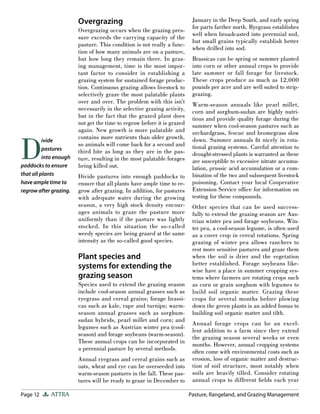 Page 12 ATTRA Pasture, Rangeland, and Grazing Management
Overgrazing
Overgrazing occurs when the grazing pres-
sure exceeds the carrying capacity of the
pasture. This condition is not really a func-
tion of how many animals are on a pasture,
but how long they remain there. In graz-
ing management, time is the most impor-
tant factor to consider in establishing a
grazing system for sustained forage produc-
tion. Continuous grazing allows livestock to
selectively graze the most palatable plants
over and over. The problem with this isn’t
necessarily in the selective grazing activity,
but in the fact that the grazed plant does
not get the time to regrow before it is grazed
again. New growth is more palatable and
contains more nutrients than older growth,
so animals will come back for a second and
third bite as long as they are in the pas-
ture, resulting in the most palatable forages
being killed out.
Divide pastures into enough paddocks to
ensure that all plants have ample time to re-
grow after grazing. In addition, for pastures
with adequate water during the growing
season, a very high stock density encour-
ages animals to graze the pasture more
uniformly than if the pasture was lightly
stocked. In this situation the so-called
weedy species are being grazed at the same
intensity as the so-called good species.
Plant species and
systems for extending the
grazing season
Species used to extend the grazing season
include cool-season annual grasses such as
ryegrass and cereal grains; forage brassi-
cas such as kale, rape and turnips; warm-
season annual grasses such as sorghum-
sudan hybrids, pearl millet and corn; and
legumes such as Austrian winter pea (cool-
season) and forage soybeans (warm-season).
These annual crops can be incorporated in
a perennial pasture by several methods.
Annual ryegrass and cereal grains such as
oats, wheat and rye can be overseeded into
warm-season pastures in the fall. These pas-
tures will be ready to graze in December to
January in the Deep South, and early spring
for parts farther north. Ryegrass establishes
well when broadcasted into perennial sod,
but small grains typically establish better
when drilled into sod.
Brassicas can be spring or summer planted
into corn or other annual crops to provide
late summer or fall forage for livestock.
These crops produce as much as 12,000
pounds per acre and are well suited to strip-
grazing.
Warm-season annuals like pearl millet,
corn and sorghum-sudan are highly nutri-
tious and provide quality forage during the
summer when cool-season pastures such as
orchardgrass, fescue and bromegrass slow
down. Summer annuals ﬁt nicely in rota-
tional grazing systems. Careful attention to
drought-stressed plants is warranted as these
are susceptible to excessive nitrate accumu-
lation, prussic acid accumulation or a com-
bination of the two and subsequent livestock
poisoning. Contact your local Cooperative
Extension Service ofﬁce for information on
testing for these compounds.
Other species that can be used success-
fully to extend the grazing season are Aus-
trian winter pea and forage soybeans. Win-
ter pea, a cool-season legume, is often used
as a cover crop in cereal rotations. Spring
grazing of winter pea allows ranchers to
rest more sensitive pastures and graze them
when the soil is drier and the vegetation
better established. Forage soybeans like-
wise have a place in summer cropping sys-
tems where farmers are rotating crops such
as corn or grain sorghum with legumes to
build soil organic matter. Grazing these
crops for several months before plowing
down the green plants is an added bonus to
building soil organic matter and tilth.
Annual forage crops can be an excel-
lent addition to a farm since they extend
the grazing season several weeks or even
months. However, annual cropping systems
often come with environmental costs such as
erosion, loss of organic matter and destruc-
tion of soil structure, most notably when
soils are heavily tilled. Consider rotating
annual crops to different ﬁelds each year
D
ivide
pastures
into enough
paddocks to ensure
that all plants
have ample time to
regrow after grazing.
 