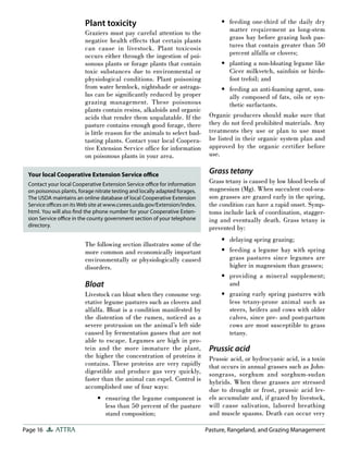 Page 16 ATTRA Pasture, Rangeland, and Grazing Management
Plant toxicity
Graziers must pay careful attention to the
negative health effects that certain plants
can cause in livestock. Plant toxicosis
occurs either through the ingestion of poi-
sonous plants or forage plants that contain
toxic substances due to environmental or
physiological conditions. Plant poisoning
from water hemlock, nightshade or astraga-
lus can be signiﬁcantly reduced by proper
grazing management. These poisonous
plants contain resins, alkaloids and organic
acids that render them unpalatable. If the
pasture contains enough good forage, there
is little reason for the animals to select bad-
tasting plants. Contact your local Coopera-
tive Extension Service ofﬁce for information
on poisonous plants in your area.
The following section illustrates some of the
more common and economically important
environmentally or physiologically caused
disorders.
Bloat
Livestock can bloat when they consume veg-
etative legume pastures such as clovers and
alfalfa. Bloat is a condition manifested by
the distention of the rumen, noticed as a
severe protrusion on the animal’s left side
caused by fermentation gasses that are not
able to escape. Legumes are high in pro-
tein and the more immature the plant,
the higher the concentration of proteins it
contains. These proteins are very rapidly
digestible and produce gas very quickly,
faster than the animal can expel. Control is
accomplished one of four ways:
ensuring the legume component is
less than 50 percent of the pasture
stand composition;
•
feeding one-third of the daily dry
matter requirement as long-stem
grass hay before grazing lush pas-
tures that contain greater than 50
percent alfalfa or clovers;
planting a non-bloating legume like
Cicer milkvetch, sainfoin or birds-
foot trefoil; and
feeding an anti-foaming agent, usu-
ally composed of fats, oils or syn-
thetic surfactants.
Organic producers should make sure that
they do not feed prohibited materials. Any
treatments they use or plan to use must
be listed in their organic system plan and
approved by the organic certiﬁer before
use.
Grass tetany
Grass tetany is caused by low blood levels of
magnesium (Mg). When succulent cool-sea-
son grasses are grazed early in the spring,
the condition can have a rapid onset. Symp-
toms include lack of coordination, stagger-
ing and eventually death. Grass tetany is
prevented by:
delaying spring grazing;
feeding a legume hay with spring
grass pastures since legumes are
higher in magnesium than grasses;
providing a mineral supplement;
and
grazing early spring pastures with
less tetany-prone animal such as
steers, heifers and cows with older
calves, since pre- and post-partum
cows are most susceptible to grass
tetany.
Prussic acid
Prussic acid, or hydrocyanic acid, is a toxin
that occurs in annual grasses such as John-
songrass, sorghum and sorghum-sudan
hybrids. When these grasses are stressed
due to drought or frost, prussic acid lev-
els accumulate and, if grazed by livestock,
will cause salivation, labored breathing
and muscle spasms. Death can occur very
•
•
•
•
•
•
•
Your local Cooperative Extension Service oﬃce
Contact your local Cooperative Extension Service oﬃce for information
on poisonous plants, forage nitrate testing and locally adapted forages.
The USDA maintains an online database of local Cooperative Extension
Service oﬃces on its Web site at www.csrees.usda.gov/Extension/index.
html. You will also ﬁnd the phone number for your Cooperative Exten-
sion Service oﬃce in the county government section of your telephone
directory.
 