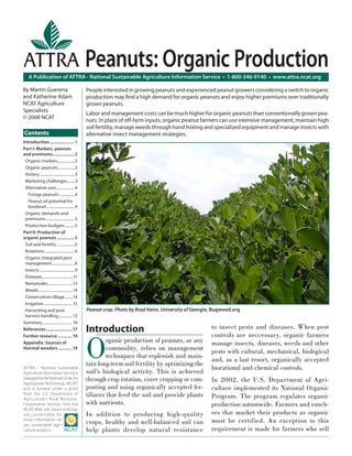 Introduction
O
rganic production of peanuts, or any
commodity, relies on management
techniques that replenish and main-
tain long-term soil fertility by optimizing the
soil’s biological activity. This is achieved
through crop rotation, cover cropping or com-
posting and using organically accepted fer-
tilizers that feed the soil and provide plants
with nutrients.
In addition to producing high-quality
crops, healthy and well-balanced soil can
help plants develop natural resistance
to insect pests and diseases. When pest
controls are neccessary, organic farmers
manage insects, diseases, weeds and other
pests with cultural, mechanical, biological
and, as a last resort, organically accepted
biorational and chemical controls.
In 2002, the U.S. Department of Agri-
culture implemented its National Organic
Program. The program regulates organic
production nationwide. Farmers and ranch-
ers that market their products as organic
must be certified. An exception to this
requirement is made for farmers who sell
Introduction.......................1
Part I: Markets, peanuts
and premiums....................2
Organic markets..................2
Organic peanuts..................2
History.....................................3
Marketing challenges........3
Alternative uses...................4
Forage peanuts ................4
Peanut oil potential for
biodiesel..............................4
Organic demands and
premiums...............................5
Production budgets ..........5
Part II: Production of
organic peanuts ................5
Soil and fertility...................5
Rotations................................6
Organic integrated pest
management........................8
Insects.....................................9
Diseases................................11
Nematodes..........................13
Weeds....................................14
Conservation tillage ........14
Irrigation ..............................15
Harvesting and post
harvest handling...............15
Summary............................... 16
References........................17
Further resource .............19
Appendix: Sources of
thermal weeders.............19
Peanut crop. Photo by Brad Haire, University of Georgia, Bugwood.org
People interested in growing peanuts and experienced peanut growers considering a switch to organic
production may ﬁnd a high demand for organic peanuts and enjoy higher premiums over traditionally
grown peanuts.
Labor and management costs can be much higher for organic peanuts than conventionally grown pea-
nuts. In place of off-farm inputs, organic peanut farmers can use intensive management, maintain high
soil fertility, manage weeds through hand hoeing and specialized equipment and manage insects with
alternative insect management strategies.
A Publication of ATTRA - National Sustainable Agriculture Information Service • 1-800-346-9140 • www.attra.ncat.org
ATTRA – National Sustainable
Agriculture Information Service is
managedbytheNationalCenterfor
Appropriate Technology (NCAT)
and is funded under a grant
from the U.S. Department of
Agriculture’s Rural Business-
Cooperative Service. Visit the
NCAT Web site (www.ncat.org/
sarc_current.php) for
more information on
our sustainable agri-
culture projects.
Contents
By Martin Guerena
and Katherine Adam
NCAT Agriculture
Specialists
© 2008 NCAT
Peanuts: Organic Production
 