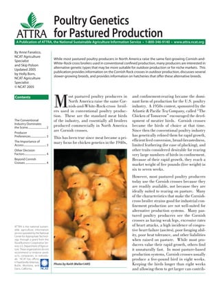 A Publication of ATTRA, the National Sustainable Agriculture Information Service • 1-800-346-9140 • www.attra.ncat.org
ATTRA is the national sustain-
able agriculture information
service operated by the National
Center for Appropriate Technol-
ogy, through a grant from the
Rural Business-Cooperative Ser-
vice, U.S. Department of Agricul-
ture. These organizations do not
recommend or endorse prod-
ucts, companies, or individu-
als. NCAT has oﬃces
inFayetteville,Arkansas,
Butte, Montana, and
Davis, California. ����
ATTRA
Contents
By Anne Fanatico,
NCAT Agriculture
Specialist
and Skip Polson
Updated 2005
by Holly Born,
NCAT Agriculture
Specialist
© NCAT 2005
Poultry Genetics
for Pastured Production
M
ost pastured poultry producers in
North America raise the same Cor-
nish-and-White-Rock-cross broil-
ers used in conventional poultry produc-
tion. These are the standard meat birds
of the industry, and essentially all broilers
produced commercially in North America
are Cornish crosses.
This has been true since meat became a pri-
mary focus for chicken genetics in the 1940s,
and conﬁnement-rearing became the domi-
nant form of production for the U.S. poultry
industry. A 1950s contest, sponsored by the
Atlantic & Paciﬁc Tea Company, called “The
Chicken of Tomorrow” encouraged the devel-
opment of meatier birds. Cornish crosses
became the birds of choice at that time.
Since then the conventional poultry industry
has genetically reﬁned them for rapid growth,
efﬁcient feed conversion, broad-breastedness,
limited feathering (for ease of plucking), and
other traits considered desirable for rearing
very large numbers of birds in conﬁnement.
Because of their rapid growth, they reach a
market weight of ﬁve pounds (live weight) in
six to seven weeks.
However, most pastured poultry producers
today use the Cornish crosses because they
are readily available, not because they are
ideally suited to rearing on pasture. Many
of the characteristics that make the Cornish-
cross broiler strains good for industrial con-
ﬁnement production are not well-suited for
alternative production systems. Many pas-
tured poultry producers see the Cornish
crosses as having weak legs, excessive rates
of heart attacks, a high incidence of conges-
tive heart failure (ascites), poor foraging abil-
ity, poor heat tolerance, and other liabilities
when raised on pasture. While most pro-
ducers value their rapid growth, others ﬁnd
it unnaturally fast. In most pasture-based
production systems, Cornish crosses usually
produce a ﬁve-pound bird in eight weeks.
Keeping the birds longer than eight weeks
and allowing them to get larger can contrib-
While most pastured poultry producers in North America raise the same fast-growing Cornish-and-
White-Rock-cross broilers used in conventional conﬁned production, many producers are interested in
alternative genetic types that may be more suitable for outdoor production or for niche markets. This
publication provides information on the Cornish Rock crosses in outdoor production, discusses several
slower-growing breeds, and provides information on hatcheries that offer these alternative breeds.
The Conventional
Industry Dominates
the Scene........................... 2
Producer
Preferences....................... 3
The Importance of
Access................................. 3
Other Decision
Factors................................ 4
Beyond Cornish
Crosses ............................... 4
Photo by Keith Weller©ARS
 