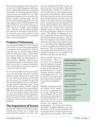 Page 3ATTRAwww.attra.ncat.org
The breeding companies sell crossbred par-
ent stock to vertically-integrated poultry pro-
ducers, independent hatcheries, and others
who produce the hatching eggs that will ulti-
mately become the broilers we eat. Most
independent hatcheries do not keep their own
ﬂocks to produce hatching eggs. Instead,
they buy their hatching eggs from a few very
large suppliers (such as the Keith Smith com-
pany in Arkansas, www.keith-smith.com, or
CWT Farms in Georgia, www.cwtfarms.
com). Therefore, all the chicks available
from hatcheries throughout North America
are mostly the same strains, and they are the
same strains being used by the vast majority
of the conventional industry.
Producer Preferences
Even though the differences in the Cornish-
cross strains are small, some pastured poul-
try producers do have preferences. Over the
years they may see that one strain performs
better for them than others. These differ-
ences may be things such as fewer leg prob-
lems, slightly faster (or slower) growth, or
lower mortality. Therefore, while most pas-
tured poultry producers do not know exactly
which strains they are raising from batch to
batch, a few producers always try to purchase
a particular strain of chick.
Yet even those producers who express a pref-
erence for one strain may have had their
opinions unduly inﬂuenced by factors that
are not related to the genetics of the birds
they have raised. For example, the age of the
breeder ﬂock inﬂuences the size of the hatch-
ing eggs and the chicks that result. Young
breeder ﬂocks produce smaller hatching
eggs and smaller chicks than mature ﬂocks.
Older ﬂocks nearing the end of their produc-
tive lives also produce chicks with greater
inconsistencies in their size and vigor than a
ﬂock at the prime of its life. Therefore, some
producer preferences may not be objectively
justiﬁable.
The Importance of Access
Because the differences between modern
Cornish-cross strains are so small, most
pastured poultry producers use other crite-
ria when deciding which birds to raise and
where to get their day-old chicks. Many have
concluded that a hatchery’s customer ser-
vices and location are more important than
the precise strain of broiler chicks available.
They have learned to get their birds from the
most reliable hatchery, one that can get the
chicks to the farm with the least shipping
stress. Usually this means the hatchery that
has the shortest delivery time. Death losses
and slower rates of growth that result from
shipping stress are often more signiﬁcant
than the performance differences between
strains. The liability of shipping stress is
also conﬁrmed by the practices of the major
conventional industrial producers. They use
their own employees and vehicles to deliver
chicks directly to their contract growers; they
try to control the chicks’ shipping conditions
as much as possible and minimize their ship-
ping stress. This is an argument for having
more (rather than fewer) hatcheries, and hav-
ing them located as near as possible to the
producers who will raise the chicks.
Here are the Web sites of sev-
eral hatcheries. These are
not given as recommenda-
tions, but simply as examples
of what independent hatcher-
ies have to offer and how they
present themselves. A more
complete listing of hatcher-
ies throughout the U.S. can
be found at www.aphis.usda.
gov/vs/npip/ and at www.poul-
tryconnection.com/hatchery.
html.
Shipping constraints beyond
the control of the hatcher-
ies can be an important fac-
tor, as well. During the early
and mid-1900s, the practice
of sending day-old poultry by
mail from hatcheries to cus-
tomers all over the country
became very popular and
commonplace. In recent years, however,
the number of airlines willing to carry day-
old poultry as U.S. mail has declined, even
to the point that the chicks-by-mail service
appeared to be in jeopardy. Then in 2001
Samples of hatchery Web sites
www.belthatchery.com
559-264-2090
www.esteshatchery.com
800-345-1420
www.mcmurrayhatchery.com
800-456-3280
www.moyerschicks.com
215-536-3155
www.mthealthy.com/index.html
800-451-5603
www.privetthatchery.com
877-774-8388
www.townlinehatchery.
com/chicks.html
616-772-6514
 