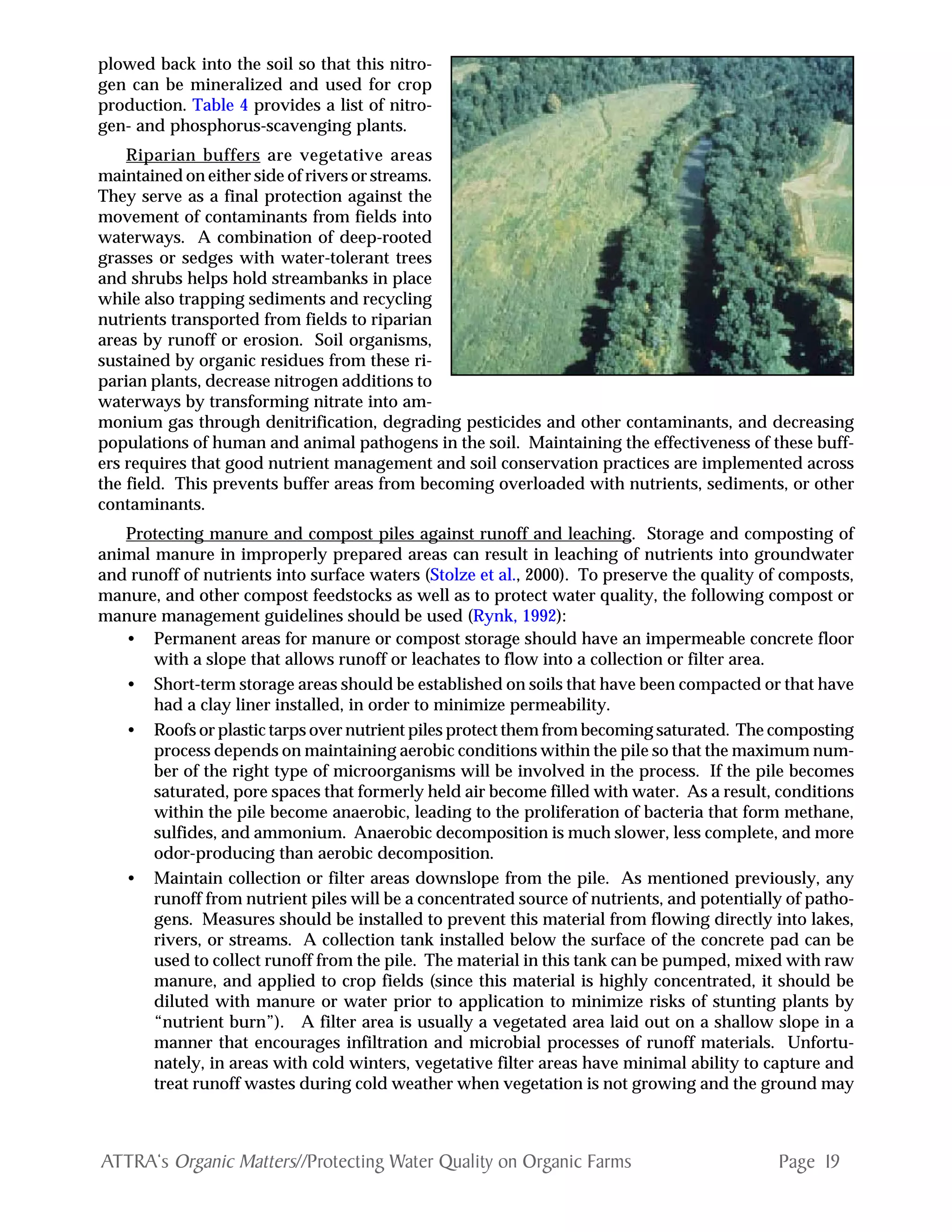 Page 19ATTRA‘s Organic Matters//Protecting Water Quality on Organic Farms
plowed back into the soil so that this nitro-
gen can be mineralized and used for crop
production. Table 4 provides a list of nitro-
gen- and phosphorus-scavenging plants.
Riparian buffers are vegetative areas
maintained on either side of rivers or streams.
They serve as a final protection against the
movement of contaminants from fields into
waterways. A combination of deep-rooted
grasses or sedges with water-tolerant trees
and shrubs helps hold streambanks in place
while also trapping sediments and recycling
nutrients transported from fields to riparian
areas by runoff or erosion. Soil organisms,
sustained by organic residues from these ri-
parian plants, decrease nitrogen additions to
waterways by transforming nitrate into am-
monium gas through denitrification, degrading pesticides and other contaminants, and decreasing
populations of human and animal pathogens in the soil. Maintaining the effectiveness of these buff-
ers requires that good nutrient management and soil conservation practices are implemented across
the field. This prevents buffer areas from becoming overloaded with nutrients, sediments, or other
contaminants.
Protecting manure and compost piles against runoff and leaching. Storage and composting of
animal manure in improperly prepared areas can result in leaching of nutrients into groundwater
and runoff of nutrients into surface waters (Stolze et al., 2000). To preserve the quality of composts,
manure, and other compost feedstocks as well as to protect water quality, the following compost or
manure management guidelines should be used (Rynk, 1992):
• Permanent areas for manure or compost storage should have an impermeable concrete floor
with a slope that allows runoff or leachates to flow into a collection or filter area.
• Short-term storage areas should be established on soils that have been compacted or that have
had a clay liner installed, in order to minimize permeability.
• Roofs or plastic tarps over nutrient piles protect them from becoming saturated. The composting
process depends on maintaining aerobic conditions within the pile so that the maximum num-
ber of the right type of microorganisms will be involved in the process. If the pile becomes
saturated, pore spaces that formerly held air become filled with water. As a result, conditions
within the pile become anaerobic, leading to the proliferation of bacteria that form methane,
sulfides, and ammonium. Anaerobic decomposition is much slower, less complete, and more
odor-producing than aerobic decomposition.
• Maintain collection or filter areas downslope from the pile. As mentioned previously, any
runoff from nutrient piles will be a concentrated source of nutrients, and potentially of patho-
gens. Measures should be installed to prevent this material from flowing directly into lakes,
rivers, or streams. A collection tank installed below the surface of the concrete pad can be
used to collect runoff from the pile. The material in this tank can be pumped, mixed with raw
manure, and applied to crop fields (since this material is highly concentrated, it should be
diluted with manure or water prior to application to minimize risks of stunting plants by
“nutrient burn”). A filter area is usually a vegetated area laid out on a shallow slope in a
manner that encourages infiltration and microbial processes of runoff materials. Unfortu-
nately, in areas with cold winters, vegetative filter areas have minimal ability to capture and
treat runoff wastes during cold weather when vegetation is not growing and the ground may
 