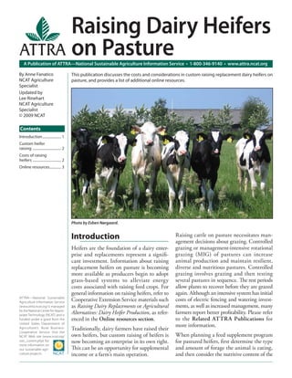 A Publication of ATTRA—National Sustainable Agriculture Information Service • 1-800-346-9140 • www.attra.ncat.org
Contents
By Anne Fanatico
NCAT Agriculture
Specialist
Updated by
Lee Rinehart
NCAT Agriculture
Specialist
© 2009 NCAT
Raising Dairy Heifers
on Pasture
Introduction..................... 1
Custom heifer
raising ................................ 2
Costs of raising
heifers ................................ 2
Online resources............. 3
This publication discusses the costs and considerations in custom raising replacement dairy heifers on
pasture, and provides a list of additional online resources.
Introduction
Heifers are the foundation of a dairy enter-
prise and replacements represent a signiﬁ-
cant investment. Information about raising
replacement heifers on pasture is becoming
more available as producers begin to adopt
grass-based systems to alleviate energy
costs associated with raising feed crops. For
general information on raising heifers, refer to
Cooperative Extension Service materials such
as Raising Dairy Replacements or Agricultural
Alternatives: Dairy Heifer Production, as refer-
enced in the Online resources section.
Traditionally, dairy farmers have raised their
own heifers, but custom raising of heifers is
now becoming an enterprise in its own right.
This can be an opportunity for supplemental
income or a farm’s main operation.
Raising cattle on pasture necessitates man-
agement decisions about grazing. Controlled
grazing or management-intensive rotational
grazing (MIG) of pastures can increase
animal production and maintain resilient,
diverse and nutritious pastures. Controlled
grazing involves grazing and then resting
several pastures in sequence. The rest periods
allow plants to recover before they are grazed
again. Although an intensive system has initial
costs of electric fencing and watering invest-
ments, as well as increased management, many
farmers report better proﬁtability. Please refer
to the Related ATTRA Publications for
more information.
When planning a feed supplement program
for pastured heifers, ﬁrst determine the type
and amount of forage the animal is eating,
and then consider the nutritive content of the
Photo by Esben Nørgaard.
ATTRA—National Sustainable
Agriculture Information Service
(www.attra.ncat.org) is managed
by the National Center for Appro-
priate Technology (NCAT) and is
funded under a grant from the
United States Department of
Agriculture’s Rural Business-
Cooperative Service. Visit the
NCAT Web site (www.ncat.org/
sarc_current.php) for
more information on
our sustainable agri-
culture projects.
 