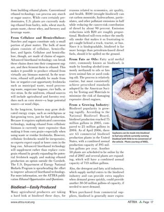 Page 17ATTRAwww.attra.ncat.org
from building ethanol plants. Conventional
ethanol technology can process any starch
or sugar source. While corn certainly pre-
dominates, U.S. plants are currently mak-
ing ethanol from barley, milo, wheat starch,
potato waste, cheese whey, and brewery and
beverage waste.
From Cellulose and Hemicellulose:
Starches and sugars constitute only a small
portion of plant matter. The bulk of most
plants consists of cellulose, hemicellu-
lose, and lignin. Cellulose and hemicellu-
lose, though, are made of chains of sugars.
Advanced bioethanol technology can break
these chains down into their component sug-
ars, and then ferment them to ethanol. This
makes it possible to produce ethanol from
virtually any biomass material. In the near-
term, ethanol will probably be made from
low- or negative-cost opportunity feedstocks
such as municipal waste, wood process-
ing waste, sugarcane bagasse, rice hulls, or
rice straw. In the mid-term, ethanol sources
will include agricultural and forestry resi-
dues such as corn stover—a huge potential
source—or wood chips.
In the long-term, farmers may grow dedi-
cated energy crops, such as switchgrass or
fast-growing trees, just for fuel production.
Because it requires sophisticated conversion
technology, making ethanol from cellulosic
biomass is currently more expensive than
making it from corn grain—especially when
using waste or residue feedstocks. However,
cellulosic feedstocks would be inexpensive,
so experts expect equal or lower costs in the
long run. Advanced bioethanol technology
will supplement rather than replace corn-
grain ethanol by greatly expanding the poten-
tial feedstock supply and making ethanol
production an option outside the Cornbelt.
The U.S. Department of Energy National
Biofuels Program is spearheading the effort
to improve advanced bioethanol technology.
For more information, see the ATTRA publi-
cation Ethanol Opportunities and Questions.
Biodiesel—Easily Produced
Many agricultural producers are taking
a hard look at biodiesel these days, for
reasons related to economics, air quality,
and health. B100 (straight biodiesel) can
cut carbon monoxide, hydrocarbons, partic-
ulates, and other pollutant emissions in half
while reducing the cancer-risk contribution
of diesel by about 90 percent. Emission
reductions with B20 are roughly propor-
tional. Biodiesel will even reduce the smelly
oily smoke that makes it so frustrating to
get caught behind a truck, tractor, or bus.
Since it is biodegradable, biodiesel is far
more benign than petroleum-based diesel
fuels, should it be spilled on the ground.
From Fats or Oils: Fatty acid methyl
ester, commonly known as biodiesel, is
made by bonding alcohol (com-
monly methanol) to oils or fats
(even animal fats or used cook-
ing oil). The process is relatively
routine, but must consistently
achieve prescribed standards
adopted by the American Soci-
ety for Testing and Materials to
minimize the risk of damaging
expensive diesel engines.
From a Growing Industry:
Biodiesel popularity is grow-
ing rapidly. According to the
National Biodiesel Board,
biodiesel production reached 75
million gallons in 2005, com-
pared to 25 million gallons in
2004. As of April 2006, there
are 65 commercial biodiesel
production plants in the United
States, with a combined annual
production capacity of 395 mil-
lion gallons per year. Another
50 plants are scheduled to be online by the
end of 2007 and several plants are expand-
ing, which will have a combined annual
capacity of 713 million gallons.
Also, the detergent and fatty acid industries,
which supply methyl esters to the biodiesel
industry and can provide extra supplies
when demand grows quickly, could provide
another 30-50 million gallons of capacity, if
needed to meet demand.
When purchased from commercial sup-
pliers, biodiesel is generally more expen-
Soybeans can be made into biodiesel
to fuel any vehicle currently running
biodiesel with little to no conversion of
the vehicle. Photo courtesy of NREL.
 