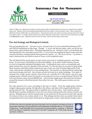 ATTRA is the national sustainable agriculture information service operated by the National Center for
AppropriateTechnology,throughagrantfromtheRuralBusiness-CooperativeService,U.S.Department
of Agriculture. These organizations do not recommend or endorse products, companies, or individuals.
NCAT has offices in Fayetteville, Arkansas (P.O. Box 3657, Fayetteville, AR 72702), Butte, Montana,
and Davis, California.
By Preston Sullivan
NCAT Agriculture Specialist
November 2003
SUSTUSTUSTUSTUSTAINABLEAINABLEAINABLEAINABLEAINABLE FIREIREIREIREIRE ANTNTNTNTNT MANAGEMENTANAGEMENTANAGEMENTANAGEMENTANAGEMENT
Abstract: Efforts are underway to introduce natural enemies of the red imported fire ant to lessen its competitiveness against
native ants. Releases of fire-ant-decapitating phorid flies have been made in several southern states. Mass rearing and
additional releases of these flies are underway now. Experimental releases of a disease-causing protozoan have been made in
ten southern states. A number of least-toxic fire ant control materials are discussed. Sources for some materials are provided
in theResources section. Physical controls such as hot water, steam, and ant traps are discussed.
Fire Ant Ecology and Biological Controls
The red imported fire ant, Solenopsis invicta, arrived in the U.S. from central Brazil between 1933
and 1945 by hitchhiking on ship cargo. Though S. invicta has become quite a pest, not all fire ant
species have achieved pest status. The black imported fire ant, Solenopsis richteri, arrived before the
red imported fire ant, sometime around 1918. S. invicta has out-competed its black cousins and also
crossed with them, creating hybrids between the two species (1). The Texas red ant, S. geminata, a
native American fire ant found in much of Texas, is not considered a pest.
The red imported fire ant prospers in open sunny areas such as cropland, pastures, and urban
lawns. It is an insect of disturbed, low-diversity habitats. In its native South America, the ant
evolved in frequently disturbed floodplain areas. Undisturbed areas, such as swamplands and
dense forests, have very low densities of fire ant nests (2). The ants have an aversion to deep shade.
Their mounds, which they build in almost any type of soil, can reach 18 inches high and be 2 feet
wide, with tunnels extending 5 to 6 feet underground. The mounds are often located in rotting logs
and around stumps and trees. Ant colonies can also be found in or under buildings. Two types of
mounds exist: single -queen colonies where there are t ypically 30 to 100 colonie s per acre, and
multiple-queen colonies where the density of mounds per acre may average between 200 and 700,
with each mature colony having 200,000 ants. Ants from the single-queen mounds form territories
around the mound, which they protect from other fire ants. The multi-queen colonies are not
territorial.
Fire ants spread in two ways, according to the type of colony. From the single-queen colonies,
winged virgin queens emerge, fly high above the colony, and mate with winged males between
spring and early fall. The queens land to establish new colonies alone. Such airborne spread
should lead to a patchy distribution of new fire ant colonies interspersed with colonies of native ant
species. Multiple-queen colonies spread when a new queen leaves the parent mound with a group
of workers to form a new colony nearby (3, 4). This strategy has been more successful where native
ant populations have prevented colonization by single-queen colony virgin females trying to start a
CURRENT TOPIC
 