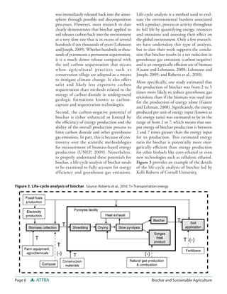 Biochar and Sustainable Agriculture | PDF