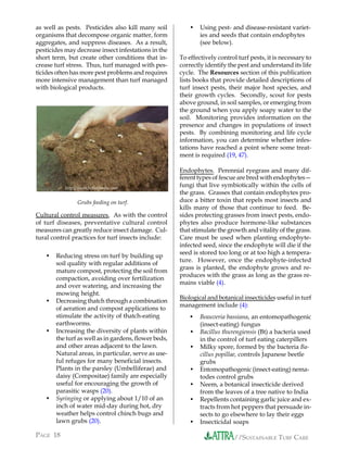 Syringing Turf Sustainable Turf Care | PDF