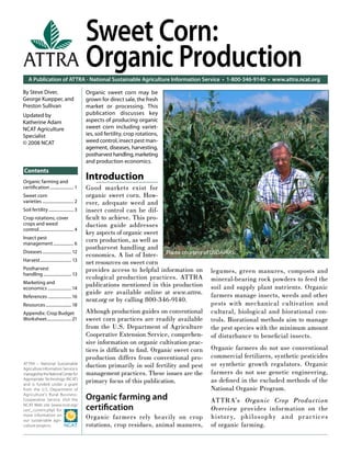 A Publication of ATTRA - National Sustainable Agriculture Information Service • 1-800-346-9140 • www.attra.ncat.org
ATTRA – National Sustainable
Agriculture Information Service is
managedbytheNationalCenterfor
Appropriate Technology (NCAT)
and is funded under a grant
from the U.S. Department of
Agriculture’s Rural Business-
Cooperative Service. Visit the
NCAT Web site (www.ncat.org/
sarc_current.php) for
more information on
our sustainable agri-
culture projects.
ATTRA
Contents
By Steve Diver,
George Kuepper, and
Preston Sullivan
Updated by
Katherine Adam
NCAT Agriculture
Specialist
© 2008 NCAT
legumes, green manures, composts and
mineral-bearing rock powders to feed the
soil and supply plant nutrients. Organic
farmers manage insects, weeds and other
pests with mechanical cultivation and
cultural, biological and biorational con-
trols. Biorational methods aim to manage
the pest species with the minimum amount
of disturbance to beneﬁcial insects.
Organic farmers do not use conventional
commercial fertilizers, synthetic pesticides
or synthetic growth regulators. Organic
farmers do not use genetic engineering,
as deﬁned in the excluded methods of the
National Organic Program.
ATTRA’s Organic Crop Production
Overview provides information on the
history, philosophy and practices
of organic farming.
Sweet Corn:
Organic Production
Organic sweet corn may be
grown for direct sale, the fresh
market or processing. This
publication discusses key
aspects of producing organic
sweet corn including variet-
ies, soil fertility, crop rotations,
weed control, insect pest man-
agement, diseases, harvesting,
postharvesthandling,marketing
and production economics.
Organic farming and
certiﬁcation...................... 1
Sweet corn
varieties ............................. 2
Soil fertility ....................... 3
Crop rotations, cover
crops and weed
control................................ 4
Insect pest
management................... 6
Diseases........................... 12
Harvest............................. 13
Postharvest
handling .......................... 13
Marketing and
economics ...................... 14
References ......................16
Resources........................18
Appendix: Crop Budget
Worksheet.......................21
Photo courtesy of USDA/ARS.
Introduction
Good markets exist for
organic sweet corn. How-
ever, adequate weed and
insect control can be dif-
ﬁcult to achieve. This pro-
duction guide addresses
key aspects of organic sweet
corn production, as well as
postharvest handling and
economics. A list of Inter-
net resources on sweet corn
provides access to helpful information on
ecological production practices. ATTRA
publications mentioned in this production
guide are available online at www.attra.
ncat.org or by calling 800-346-9140.
Although production guides on conventional
sweet corn practices are readily available
from the U.S. Department of Agriculture
Cooperative Extension Service, comprehen-
sive information on organic cultivation prac-
tices is difﬁcult to ﬁnd. Organic sweet corn
production differs from conventional pro-
duction primarily in soil fertility and pest
management practices. These issues are the
primary focus of this publication.
Organic farming and
certiﬁcation
Organic farmers rely heavily on crop
rotations, crop residues, animal manures,
 