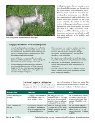 Page 4 ATTRA Tools for Managing Internal Parasites in Small Ruminants: Sericea Lespedeza
Goat grazing sericea lespedeza. Photo by Margo Hale.
residing in animals that are grazing sericea
lespedeza shed fewer eggs, and the eggs that
are produced have reduced hatching ability.
However, when animals are moved off seri-
cea lespedeza pastures and on to other for-
ages, egg counts go back up, indicating that
mature worms were inhibited but not killed
in the short term. As animals are fed with
sericea for longer periods of time, research
has shown a reduction in mature worms as
well (Min et al., 2005, Shaik et al., 2006,
Lange et al., 2006). Reducing pasture con-
tamination and animal worm burdens will
help sheep and goats to be healthier and
more productive.
Sericea lespedeza is a legume that grows in low fertility
and acid soils and was widely planted to rebuild eroded
and depleted soils. It is one of the most commonly used
species for planting on surface mine spoils, road banks,
and other disturbed or eroding areas.
Sericea is listed as a noxious weed in some states
(Colorado and Kansas, at the time of this writing) and
may become invasive or weedy in some areas.
Where sericea is considered a noxious or invasive
weed, sheep and goat grazing can help to control
the plant while also helping sheep or goat parasite
problems. It will not be invasive when grazed and
prevented from producing seed.
•
•
•
Sheep and goats may need time to adjust to grazing
sericea if they are not familiar with the forage;
however, they will graze it readily once they go
through the adjustment period. Cattle will graze
sericea if it is not too mature.
No adjustment period is needed for feeding sericea
hay, as it is readily consumed by all classes of livestock.
Researchers are investigating the performance of
animals grazing sericea or being fed sericea hay or
supplement.
Research has shown that sericea is eﬀective against
internal parasites when grazed or when fed in dried
forms, such as hay or pellets.
•
•
•
•
Things you should know about sericea lespedeza
Sericea Lespedeza Results
There have been several research trials
studying the effects of sericea lespedeza on
internal parasites in sheep and goats. The
following table summarizes the results. Ref-
erences are included in the last column.
Animals Used Treatment Results Notes
Spanish wether goats,
grazing
15 days grazing sericea or
rye/crabgrass, switch to
other forage 15 days
Fecal egg counts (FEC)
reduced (2500 vs. 710 eggs
per gram), percentage of
eggs developing to larvae
reduced (99% vs. 58.2%)
FEC increased after switch-
ing to rye/crabgrass; tan-
nins seemed to have short
residual eﬀect (Min et al.,
2004)
Goats, conﬁned and
fed hay
Ground hay–sericea or ber-
mudagrass– 4 week trial,
all on bermudagrass hay
for 3 weeks following
Reduced fecal egg counts
(FEC) for sericea-fed goats
(signiﬁcant in 3rd and 4th
weeks of trial)
FEC not signiﬁcantly dif-
ferent once animals were
taken oﬀ sericea, but still
numerically lower (Shaik et
al., 2004
 