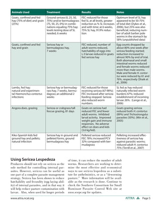 Page 5ATTRAwww.attra.ncat.org
Using Sericea Lespedeza
Producers should not rely on sericea as the
sole method for controlling internal par-
asites. However, sericea can be useful as
one part of a complete parasite management
strategy. Sericea has been shown to reduce
hatchability and fecundity (egg laying abil-
ity) of internal parasites, and in that way it
will help reduce pasture contamination with
larvae. Also, when used for longer periods
of time, it can reduce the number of adult
worms. Researchers are working to deter-
mine the most effective and economical
ways to use sericea lespedeza as a substi-
tute for anthelmintics, or as a “deworming
pasture.” More information will be avail-
able as the research is done. Continue to
check the Southern Consortium for Small
Ruminant Parasite Control Web site at
www.scsrpc.org for updates.
Animals Used Treatment Results Notes
Goats, conﬁned and fed
hay (75% of diet) and grain
(25%)
Ground sericea (0, 25, 50,
75%) and/or bermudagrass
(75, 50, 25, 0%) in combi-
nations equaling 75% hay;
levels testing dose of SL
needed, 6 weeks
FEC reduced for those
fed SL at all levels, greater
reduction as % SL increases
and with time; at 6 weeks,
75% SL hay, 91.9% reduc-
tion
Optimum level of SL hay
appeared to be 50-75%
of total diet (Dykes et al.,
2006), but 25% was also
beneﬁcial, reducing num-
ber of adult barber pole
worms in the stomach by
58% (unpublished data)
Goats, conﬁned and fed
hay and grain
Sericea hay or
bermudagrass hay,
7 weeks
FEC reduced, number of
adult worms reduced,
hatchability of eggs into
L-3 larvae reduced in goats
fed sericea hay
Egg counts dropped by
about 80% one week after
sericea feeding started;
reduction increased to
almost 90% by end of trial.
Both abomasal and small
intestinal worms reduced
and female worms reduced
more than male worms.
Male and female H. contor-
tus were reduced by 61 and
76%, respectively (Shaik et
al., 2006)
Lambs, fed hay;
natural and experimen-
tal Haemonchus contortus
infections
Sericea hay or bermudag-
rass hay, 7 weeks, bermu-
dagrass an additional 2
weeks
FEC reduced for those
receiving sericea (67-98%);
FEC increased after sericea
feeding stopped. Sericea
also reduced worm
numbers.
SL fed as hay reduced
naturally infected worm
burdens 67%; reduced
establishment of incoming
larvae 26%. (Lange et al.,
2006)
Angora does, grazing Sericea or crabgrass/tall
fescue grazing, 81 days
Goats on sericea had
reduced FEC and fewer
adult worms. Inhibited
larval activity. Improved
weight gain and immune
responses. No adverse
eﬀect on does and kids
(3.6 kg/kid).
Goats grazing sericea
reduced both H. contortus
(89%) and Trichostrongylus
parasites (50%). (Min et al.,
2005)
Kiko-Spanish kids fed
ground hay and pellets;
natural infection
Sericea hay in ground and
pelleted forms, ground
bermudagrass hay
Pelleted sericea reduced
FEC 78%; increased PCV
32% compared with ber-
mudagrass
Pelleting increased eﬀec-
tiveness of sericea hay
against parasitic worms;
reduced adult H. contortus
75% (Terrill et al., 2007)
 