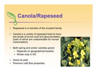 Canola/Rapeseed
• Rapeseed is a member of the mustard family
• Canola is a variety of rapeseed bred to have
low levels of erucic acid and glucosinolates
(both of which are undesireable for human
consumption)
• Both spring and winter varieties grown
• Depends on geographical location
• Winter crop in NC
• Good oil yield
• Premium cold flow properties
 