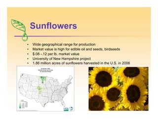 Sunflowers
• Wide geographical range for production
• Market value is high for edible oil and seeds, birdseeds
• $.08 -.12 per lb. market value
• University of New Hampshire project
• 1.86 million acres of sunflowers harvested in the U.S. in 2006
 