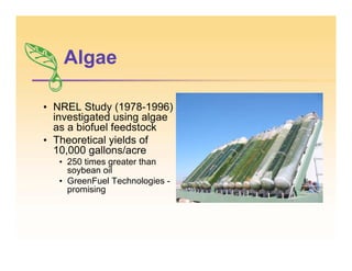 Algae
• NREL Study (1978-1996)
investigated using algae
as a biofuel feedstock
• Theoretical yields of
10,000 gallons/acre
• 250 times greater than
soybean oil
• GreenFuel Technologies -
promising
 