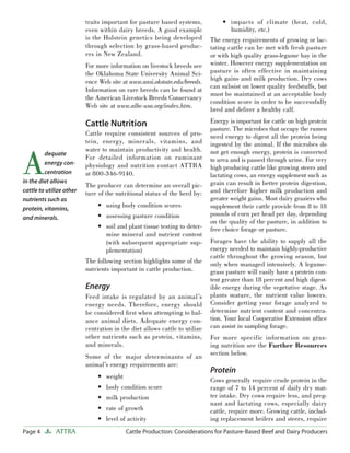 Page 4 ATTRA Cattle Production: Considerations for Pasture-Based Beef and Dairy Producers
traits important for pasture based systems,
even within dairy breeds. A good example
is the Holstein genetics being developed
through selection by grass-based produc-
ers in New Zealand.
For more information on livestock breeds see
the Oklahoma State University Animal Sci-
ence Web site at www.ansi.okstate.edu/breeds.
Information on rare breeds can be found at
the American Livestock Breeds Conservancy
Web site at www.albc-usa.org/index.htm.
Cattle Nutrition
Cattle require consistent sources of pro-
tein, energy, minerals, vitamins, and
water to maintain productivity and health.
For detailed information on ruminant
physiology and nutrition contact ATTRA
at 800-346-9140.
The producer can determine an overall pic-
ture of the nutritional status of the herd by:
using body condition scores
assessing pasture condition
soil and plant tissue testing to deter-
mine mineral and nutrient content
(with subsequent appropriate sup-
plementation)
The following section highlights some of the
nutrients important in cattle production.
Energy
Feed intake is regulated by an animal’s
energy needs. Therefore, energy should
be considered ﬁrst when attempting to bal-
ance animal diets. Adequate energy con-
centration in the diet allows cattle to utilize
other nutrients such as protein, vitamins,
and minerals.
Some of the major determinants of an
animal’s energy requirements are:
weight
body condition score
milk production
rate of growth
level of activity
•
•
•
•
•
•
•
•
impacts of climate (heat, cold,
humidity, etc.)
The energy requirements of growing or lac-
tating cattle can be met with fresh pasture
or with high quality grass-legume hay in the
winter. However energy supplementation on
pasture is often effective in maintaining
high gains and milk production. Dry cows
can subsist on lower quality feedstuffs, but
must be maintained at an acceptable body
condition score in order to be successfully
bred and deliver a healthy calf.
Energy is important for cattle on high protein
pasture. The microbes that occupy the rumen
need energy to digest all the protein being
ingested by the animal. If the microbes do
not get enough energy, protein is converted
to urea and is passed through urine. For very
high producing cattle like growing steers and
lactating cows, an energy supplement such as
grain can result in better protein digestion,
and therefore higher milk production and
greater weight gains. Most dairy graziers who
supplement their cattle provide from 8 to 18
pounds of corn per head per day, depending
on the quality of the pasture, in addition to
free choice forage or pasture.
Forages have the ability to supply all the
energy needed to maintain highly-productive
cattle throughout the growing season, but
only when managed intensively. A legume-
grass pasture will easily have a protein con-
tent greater than 18 percent and high digest-
ible energy during the vegetative stage. As
plants mature, the nutrient value lowers.
Consider getting your forage analyzed to
determine nutrient content and concentra-
tion. Your local Cooperative Extension ofﬁce
can assist in sampling forage.
For more specific information on graz-
ing nutrition see the Further Resources
section below.
Protein
Cows generally require crude protein in the
range of 7 to 14 percent of daily dry mat-
ter intake. Dry cows require less, and preg-
nant and lactating cows, especially dairy
cattle, require more. Growing cattle, includ-
ing replacement heifers and steers, require
•
A
dequate
energy con-
centration
in the diet allows
cattle to utilize other
nutrients such as
protein, vitamins,
and minerals.
 