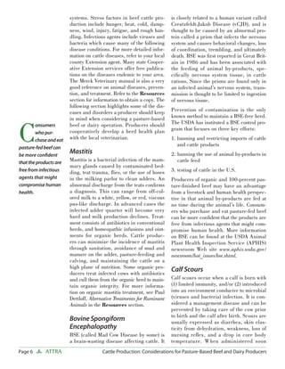 Page 6 ATTRA Cattle Production: Considerations for Pasture-Based Beef and Dairy Producers
systems. Stress factors in beef cattle pro-
duction include hunger, heat, cold, damp-
ness, wind, injury, fatigue, and rough han-
dling. Infectious agents include viruses and
bacteria which cause many of the following
disease conditions. For more detailed infor-
mation on cattle diseases, refer to your local
county Extension agent. Many state Cooper-
ative Extension services offer free publica-
tions on the diseases endemic to your area.
The Merck Veterinary manual is also a very
good reference on animal diseases, preven-
tion, and treatment. Refer to the Resources
section for information to obtain a copy. The
following section highlights some of the dis-
eases and disorders a producer should keep
in mind when considering a pasture-based
beef or dairy operation. Producers should
cooperatively develop a herd health plan
with the local veterinarian.
Mastitis
Mastitis is a bacterial infection of the mam-
mary glands caused by contaminated bed-
ding, teat trauma, ﬂies, or the use of hoses
in the milking parlor to clean udders. An
abnormal discharge from the teats conﬁrms
a diagnosis. This can range from off-col-
ored milk to a white, yellow, or red, viscous
pus-like discharge. In advanced cases the
infected udder quarter will become very
hard and milk production declines. Treat-
ment consists of antibiotics in conventional
herds, and homeopathic infusions and oint-
ments for organic herds. Cattle produc-
ers can minimize the incidence of mastitis
through sanitation, avoidance of mud and
manure on the udder, pasture-feeding and
calving, and maintaining the cattle on a
high plane of nutrition. Some organic pro-
ducers treat infected cows with antibiotics
and cull them from the organic herd to main-
tain organic integrity. For more informa-
tion on organic mastitis treatment, see Paul
Dettloff, Alternative Treatments for Ruminant
Animals in the Resources section.
Bovine Spongiform
Encephalopathy
BSE (called Mad Cow Disease by some) is
a brain-wasting disease affecting cattle. It
is closely related to a human variant called
Creutzfeldt-Jakob Disease (vCJD), and is
thought to be caused by an abnormal pro-
tein called a prion that infects the nervous
system and causes behavioral changes, loss
of coordination, trembling, and ultimately
death. BSE was ﬁrst reported in Great Brit-
ain in 1986 and has been associated with
the feeding of animal by-products, spe-
ciﬁcally nervous system tissue, in cattle
rations. Since the prions are found only in
an infected animal’s nervous system, trans-
mission is thought to be limited to ingestion
of nervous tissue.
Prevention of contamination is the only
known method to maintain a BSE-free herd.
The USDA has instituted a BSE control pro-
gram that focuses on three key efforts:
1. banning and restricting imports of cattle
and cattle products
2. banning the use of animal by-products in
cattle feed
3. testing of cattle in the U.S.
Producers of organic and 100-percent pas-
ture-ﬁnished beef may have an advantage
from a livestock and human health perspec-
tive in that animal by-products are fed at
no time during the animal’s life. Consum-
ers who purchase and eat pasture-fed beef
can be more conﬁdent that the products are
free from infectious agents that might com-
promise human health. More information
on BSE can be found at the USDA Animal
Plant Health Inspection Service (APHIS)
newsroom Web site www.aphis.usda.gov/
newsroom/hot_issues/bse.shtml.
Calf Scours
Calf scours occur when a calf is born with
(1) limited immunity, and/or (2) introduced
into an environment conducive to microbial
(viruses and bacteria) infection. It is con-
sidered a management disease and can be
prevented by taking care of the cow prior
to birth and the calf after birth. Scours are
usually expressed as diarrhea, skin elas-
ticity from dehydration, weakness, loss of
nursing reﬂex, and a drop in core body
temperature. When administered soon
C
onsumers
whopur-
chaseandeat
pasture-fedbeefcan
be more conﬁdent
thattheproductsare
free from infectious
agents that might
compromise human
health.
 