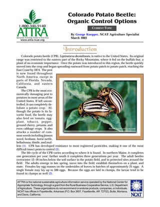 ATTRA is the national sustainable agriculture information service operated by the National Center for
AppropriateTechnology,throughagrantfromtheRuralBusiness-CooperativeService,U.S.Department
of Agriculture. These organizations do not recommend or endorse products, companies, or individuals.
NCAT has offices in Fayetteville, Arkansas (P.O. Box 3657, Fayetteville, AR 72702), Butte, Montana,
and Davis, California.
By George Kuepper, NCAT Agriculture Specialist
March 2003
Colorado Potato Beetle:
Organic Control Options
CURRENT TOPIC
Introduction
Colorado potato beetle (CPB), Leptinotarsa decemlineata, is native to the United States. Its original
range was restricted to the eastern part of the Rocky Mountains, where it fed on the buffalo bur, a
plant of no economic importance. Once the potato was introduced to this region, the beetle quickly
moved into the crop and began spreading eastward from potato patch to potato patch, reaching the
East Coast by 1874. The pest
is now found throughout
North America, except in
parts of Florida, Nevada,
California, and eastern
Canada.
The CPB is the most eco-
nomically damaging pest to
potatoes in most areas of the
United States. If left uncon-
trolled, it can completely de-
foliate a potato crop. Al-
though the potato is its fa-
vorite food, the beetle may
also feed on tomato, egg-
plant, tobacco, pepper,
ground cherry, petunia, and
even cabbage crops. It also
attacks a number of com-
mon weeds including jimson
weed, henbane, horse nettle,
belladonna, thistle, and mul-
lein (1). CPB has developed resistance to most registered pesticides, making it one of the most
difficult insect pests to control (2).
The life cycle of the CPB varies according to where it is found. In northern Maine, it completes
one generation per year; farther south it completes three generations per year. The adult beetles
overwinter 12–18 inches below the soil surface in the potato field, and in protected sites around the
field. The adults emerge in late spring, move into the field, establish themselves on a plant, and
mate. Females lay egg masses on the undersides of leaves in batches of approximately 25 eggs. A
single female may lay up to 500 eggs. Because the eggs are laid in clumps, the larvae tend to be
found in clumps as well (2).
©www.ScottCamazine.com
 
