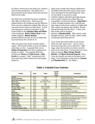 ATTRA// Companion Planting: Basic Concepts & Resources Page 7
by Native Americans is dry field corn, which is
used in flour production. Dry field corn is
harvested late in the season when the ears have
dried on the stalk.
Dry field corn is divided into three categories,
dent, flint, and flour corns. Dent corns are
adapted best to the Southeast and the Midwest.
Dent corn has a distinctive dimple-like dent on
top of the kernel when it is fully dried. A dent
corn that grows well most anywhere in the
United States is the Cherokee Blue and White
of the Southeast. Reid’s Yellow Dent is also
widely adapted. Bloody Butcher
produces blood-red ears of corn on stalks that
can reach from 10 to 12 feet (2, 3).
Flint corn grows best in the northern plains
region. The kernels of flint corn do not shrink
when they are dry. A popular flint corn is
Indian Ornamental with colors ranging from
purple to yellow. Two popular flint corn
varieties are Fiesta and Little Jewels. Little
Jewels is a unique, “mini” ornamental with
four-inch-long, multi-colored ears and purple
husks (3).
Flour corns usually have thinner-shelled ker-
nels filled with soft white starch. Flour corns
were developed in the arid Southwest. They
are less likely to succeed in cooler
northern regions with short growing seasons
and in moist, humid areas where they are
susceptible to a fatal rust disease. Hopi Pink is
a short, drought-resistant corn, with kernels
that range in color from cranberry to light pink.
This variety has plump, thin-shelled kernels
that grind easily into fine flour. A flour corn
that works well in northern
gardens is Mandan Bride. This variety is also
drought-tolerant, with red, blue, yellow, pink,
and purple spotted kernels (3).
Corn can be harvested earlier in the season
when it is still “green corn.” Green corn is
harvested when the corn is still in the “milk”
stage, when the kernels are at their sweetest
and can be eaten fresh. Varieties that are sweet
when young are Blue Clarage, Bloody
Butcher, and Black Mexican/Iroquois. Flour
corns are usually not eaten in the green corn
stage. Two exceptions to this rule are Anasazi
and Mandan Red. (3). See Table 1.
Table 1: Colorful Corn Varieties
Variety Type Color
Can Be
Eaten
Fresh
Comments
Anasazi Flour Multi ✔✔✔✔ Ancient Southwestern variety, drought-tolerant
Beasley's Red Dent Dent Red Heirloom from Indiana
Black Mexican/Iroquois Sweet Blue-Black ✔✔✔✔ Smaller variety from the Northeast
Black Aztec Sweet Blue, Black, Purple ✔✔✔✔ Originated from southern Mexico
Bloody Butcher Dent Red ✔✔✔✔ Northeastern United States, Virginia area
Blue Clarage Dent Blue ✔✔✔✔ Ohio/West Virginia
Bronze-Orange Sweet Bronze-Orange ✔✔✔✔ Selected by Dr. Alan Kapuler
Cherokee Blue & White Dent Blue and White ✔✔✔✔ Grown throughout North America
Cherokee White Flour White Grows 12-15ft. Tall
Fiesta Flint Multi Developed in New Hampshire
Hopi Pink Flour Pink Short, drought-tolerant, Southwestern variety
Hickory King Flour Yellow 12 ft. tall heirloom
Indian Ornamental Flint Multi Widely grown by North American Indians
Little Jewels Flint Multi 4-inch-long corn developed in New Hampshire
Mandan Bride Flour Multi Originated from the Mandan tribe
Mandan Red Flour Reddish-Black ✔✔✔✔ Developed in Washington
Oaxaca Green Dent Green Southern Mexico, makes green flour
Rainbow Inca Sweet Multi ✔✔✔✔ Developed by Dr. Alan Kapuler
Rainbow Indian Flour Multi Developed by Dr. Alan Kapuler
Texas Honey June Sweet Yellow ✔✔✔✔ Heirloom, sturdy 7-8ft. Stalks
Tuscadorea/Iroquois White Flour White Tall, Iroquois variety
*Adapted from Amazing Maize! Cultivate Colorful Corns by Eric Rosenthal (3).
 