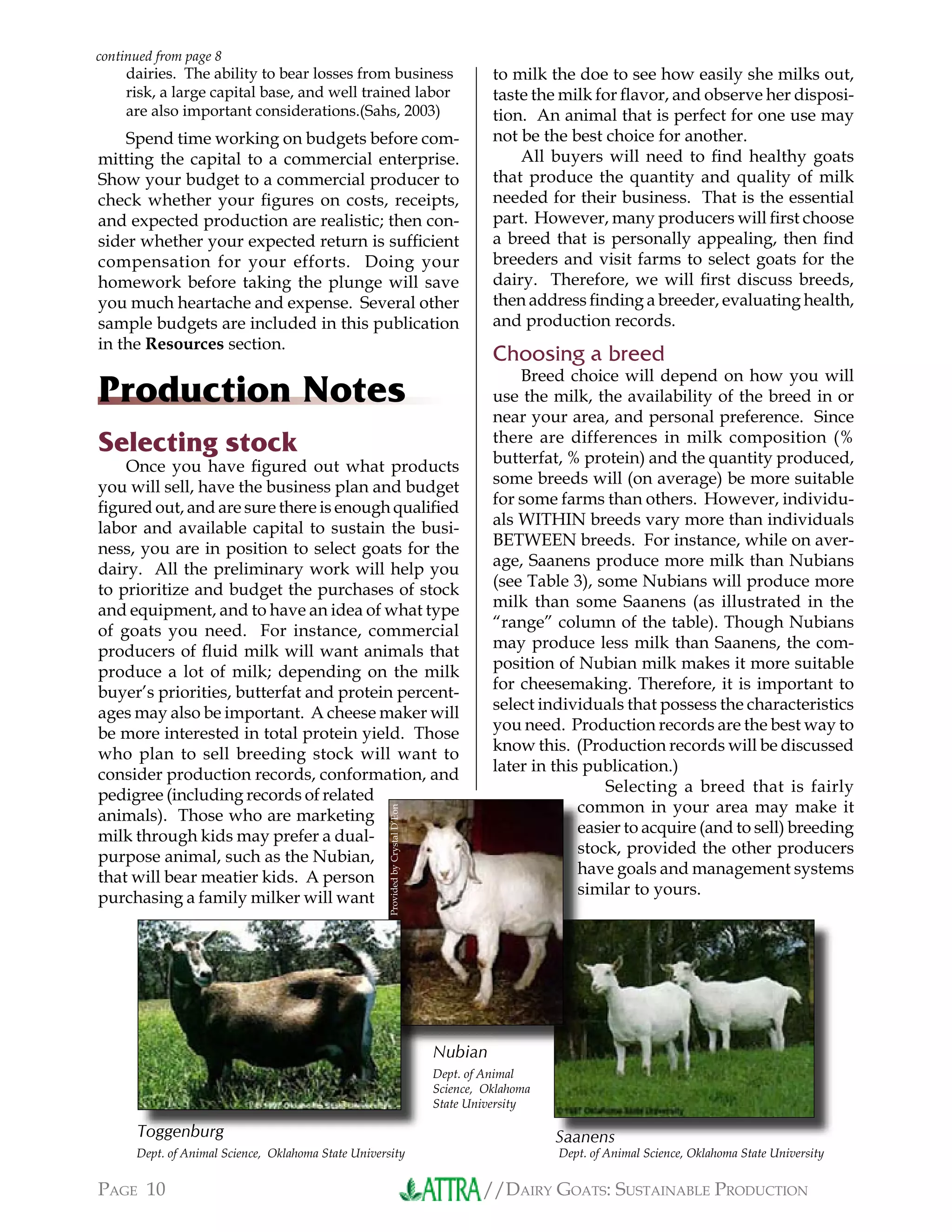 //DAIRY GOATS: SUSTAINABLE PRODUCTIONPAGE 10
dairies. The ability to bear losses from business
risk, a large capital base, and well trained labor
are also important considerations.(Sahs, 2003)
Spend time working on budgets before com-
mitting the capital to a commercial enterprise.
Show your budget to a commercial producer to
check whether your ﬁgures on costs, receipts,
and expected production are realistic; then con-
sider whether your expected return is sufﬁcient
compensation for your efforts. Doing your
homework before taking the plunge will save
you much heartache and expense. Several other
sample budgets are included in this publication
in the Resources section.
Production Notes
Selecting stock
Once you have ﬁgured out what products
you will sell, have the business plan and budget
ﬁgured out, and are sure there is enough qualiﬁed
labor and available capital to sustain the busi-
ness, you are in position to select goats for the
dairy. All the preliminary work will help you
to prioritize and budget the purchases of stock
and equipment, and to have an idea of what type
of goats you need. For instance, commercial
producers of ﬂuid milk will want animals that
produce a lot of milk; depending on the milk
buyer’s priorities, butterfat and protein percent-
ages may also be important. A cheese maker will
be more interested in total protein yield. Those
who plan to sell breeding stock will want to
consider production records, conformation, and
pedigree (including records of related
animals). Those who are marketing
milk through kids may prefer a dual-
purpose animal, such as the Nubian,
that will bear meatier kids. A person
purchasing a family milker will want
to milk the doe to see how easily she milks out,
taste the milk for ﬂavor, and observe her disposi-
tion. An animal that is perfect for one use may
not be the best choice for another.
All buyers will need to ﬁnd healthy goats
that produce the quantity and quality of milk
needed for their business. That is the essential
part. However, many producers will ﬁrst choose
a breed that is personally appealing, then ﬁnd
breeders and visit farms to select goats for the
dairy. Therefore, we will ﬁrst discuss breeds,
then address ﬁnding a breeder, evaluating health,
and production records.
Choosing a breed
Breed choice will depend on how you will
use the milk, the availability of the breed in or
near your area, and personal preference. Since
there are differences in milk composition (%
butterfat, % protein) and the quantity produced,
some breeds will (on average) be more suitable
for some farms than others. However, individu-
als WITHIN breeds vary more than individuals
BETWEEN breeds. For instance, while on aver-
age, Saanens produce more milk than Nubians
(see Table 3), some Nubians will produce more
milk than some Saanens (as illustrated in the
“range” column of the table). Though Nubians
may produce less milk than Saanens, the com-
position of Nubian milk makes it more suitable
for cheesemaking. Therefore, it is important to
select individuals that possess the characteristics
you need. Production records are the best way to
know this. (Production records will be discussed
later in this publication.)
Selecting a breed that is fairly
common in your area may make it
easier to acquire (and to sell) breeding
stock, provided the other producers
have goals and management systems
similar to yours.
Saanens
Dept. of Animal Science, Oklahoma State University
Toggenburg
Dept. of Animal Science, Oklahoma State University
continued from page 8
common in your area may make it
easier to acquire (and to sell) breeding
stock, provided the other producers
have goals and management systems
similar to yours.
ProvidedbyCrystalD’Eon
Toggenburg
Nubian
Dept. of Animal
Science, Oklahoma
State University
 