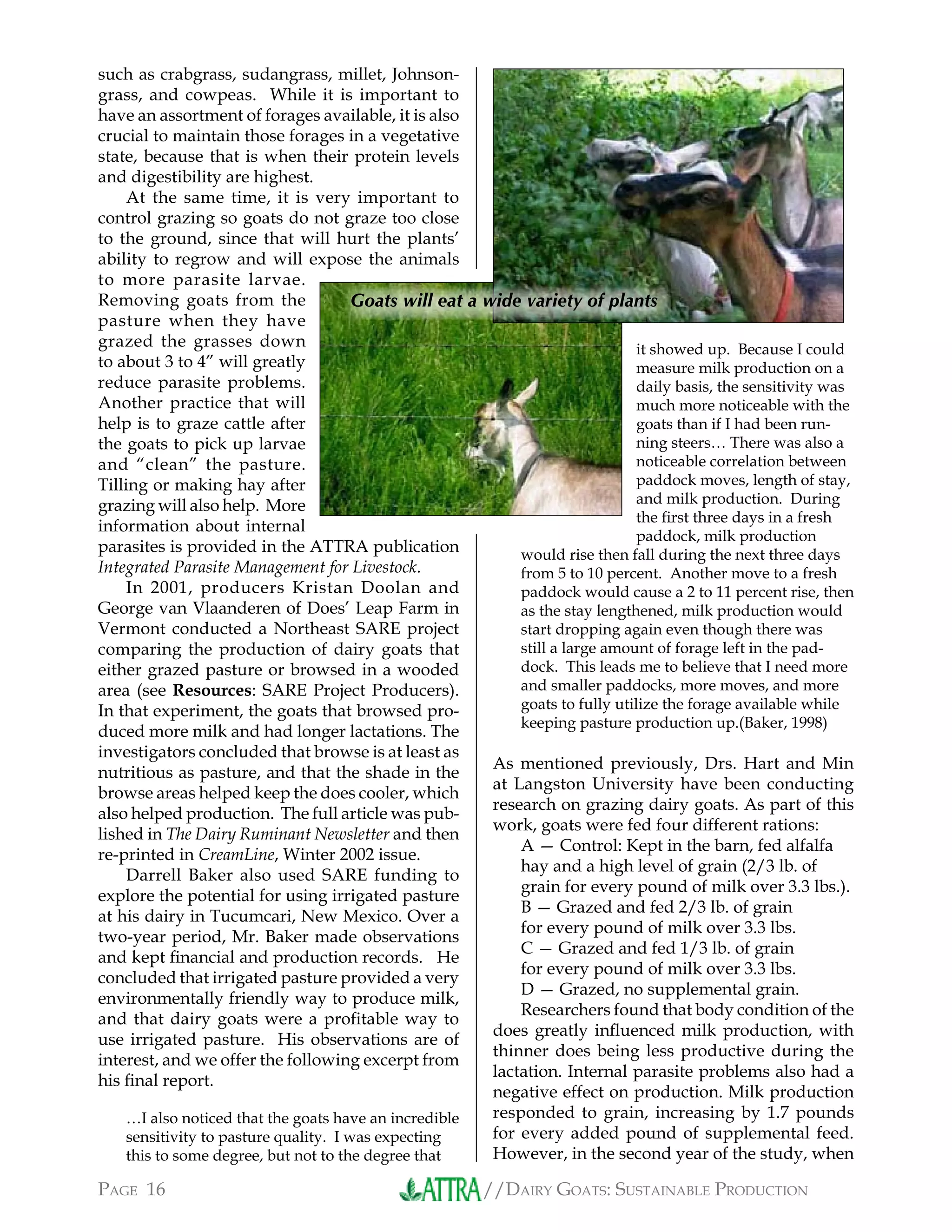 //DAIRY GOATS: SUSTAINABLE PRODUCTIONPAGE 16
it showed up. Because I could
measure milk production on a
daily basis, the sensitivity was
much more noticeable with the
goats than if I had been run-
ning steers… There was also a
noticeable correlation between
paddock moves, length of stay,
and milk production. During
the ﬁrst three days in a fresh
paddock, milk production
would rise then fall during the next three days
from 5 to 10 percent. Another move to a fresh
paddock would cause a 2 to 11 percent rise, then
as the stay lengthened, milk production would
start dropping again even though there was
still a large amount of forage left in the pad-
dock. This leads me to believe that I need more
and smaller paddocks, more moves, and more
goats to fully utilize the forage available while
keeping pasture production up.(Baker, 1998)
As mentioned previously, Drs. Hart and Min
at Langston University have been conducting
research on grazing dairy goats. As part of this
work, goats were fed four different rations:
A — Control: Kept in the barn, fed alfalfa
hay and a high level of grain (2/3 lb. of
grain for every pound of milk over 3.3 lbs.).
B — Grazed and fed 2/3 lb. of grain
for every pound of milk over 3.3 lbs.
C — Grazed and fed 1/3 lb. of grain
for every pound of milk over 3.3 lbs.
D — Grazed, no supplemental grain.
Researchers found that body condition of the
does greatly inﬂuenced milk production, with
thinner does being less productive during the
lactation. Internal parasite problems also had a
negative effect on production. Milk production
responded to grain, increasing by 1.7 pounds
for every added pound of supplemental feed.
However, in the second year of the study, when
such as crabgrass, sudangrass, millet, Johnson-
grass, and cowpeas. While it is important to
have an assortment of forages available, it is also
crucial to maintain those forages in a vegetative
state, because that is when their protein levels
and digestibility are highest.
At the same time, it is very important to
control grazing so goats do not graze too close
to the ground, since that will hurt the plants’
ability to regrow and will expose the animals
to more parasite larvae.
Removing goats from the
pasture when they have
grazed the grasses down
to about 3 to 4” will greatly
reduce parasite problems.
Another practice that will
help is to graze cattle after
the goats to pick up larvae
and “clean” the pasture.
Tilling or making hay after
grazing will also help. More
information about internal
parasites is provided in the ATTRA publication
Integrated Parasite Management for Livestock.
In 2001, producers Kristan Doolan and
George van Vlaanderen of Does’ Leap Farm in
Vermont conducted a Northeast SARE project
comparing the production of dairy goats that
either grazed pasture or browsed in a wooded
area (see Resources: SARE Project Producers).
In that experiment, the goats that browsed pro-
duced more milk and had longer lactations. The
investigators concluded that browse is at least as
nutritious as pasture, and that the shade in the
browse areas helped keep the does cooler, which
also helped production. The full article was pub-
lished in The Dairy Ruminant Newsletter and then
re-printed in CreamLine, Winter 2002 issue.
Darrell Baker also used SARE funding to
explore the potential for using irrigated pasture
at his dairy in Tucumcari, New Mexico. Over a
two-year period, Mr. Baker made observations
and kept ﬁnancial and production records. He
concluded that irrigated pasture provided a very
environmentally friendly way to produce milk,
and that dairy goats were a proﬁtable way to
use irrigated pasture. His observations are of
interest, and we offer the following excerpt from
his ﬁnal report.
…I also noticed that the goats have an incredible
sensitivity to pasture quality. I was expecting
this to some degree, but not to the degree that
Goats will eat a wide variety of plants
 