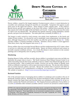 ATTRA is the national sustainable agriculture information service, operated by the National Center
for Appropriate Technology through a grant from the Rural Business-Cooperative Service, U.S.
Department of Agriculture. These organizations do not recommend or endorse products, companies,
or individuals. NCAT has offices in Fayetteville, Arkansas (P.O. Box 3657, Fayetteville, AR 72702),
Butte, Montana, and Davis, California.
By George Kuepper
NCAT Agriculture Specialist
March 2003
DOWNY MILDEW CONTROL IN
CUCURBITS
Downy mildew, caused by the fungal organism Pseudoperonospora cubensis, is most destructive to
cucumber and cantaloupe, though all cucurbits are susceptible. Symptoms first appear as pale
green areas on the upper leaf surfaces. These change to yellow angular spots. A fine white-to-
grayish downy growth soon appears on the lower leaf surface. Infected leaves generally die but
may remain erect while the edges of the leaf blades curl inward. Usually, the leaves near the center
of a hill or row are infected first. The infected area spreads outward, causing defoliation, stunted
growth, and poor fruit development. The entire plant may eventually be killed (1, 2).
The fungus is easily carried by wind currents, rain splash, farm implements, or the hands and
clothes of farm workers. It is favored by cool to moderately warm temperatures, but tolerates hot
days, although long periods of dry hot weather can stifle the spread of the disease (3). Unlike
powdery mildew, it requires humidity to flourish. Therefore, downy mildew is most aggressive
when heavy dews, fog, and frequent rains occur (1, 2).
Downy mildew does not overwinter beyond Mexico and the southernmost tier of U.S. states, where
it survives on cultivated and wild cucurbit plants. Spores are blown northward each season as
favorable seasonal conditions advance. As a result, the disease is most common on late summer
plantings and is infrequently seen on spring cucurbits (4).
Monitoring
Keeping abreast of when, and how severely, downy mildew is occurring in your area can help you
determine the proper time to treat it. The North American Plant Disease Forecast Center is an
online forecasting network that tracks outbreaks of downy mildew from March through the end of
the growing season. Data is posted twice weekly. Growers can use the website to identify areas
where an outbreak is reported, as well as spore movement in that area. The site also offers informa-
tion on control measures, photos, and more. Because the website relies on growers and others to
report the outbreaks, it isn’t comprehensive or foolproof. It is, however, a useful monitoring tool.
The website is located at <http://www.ces.ncsu.edu/depts/pp/cucurbit/>.
Resistant Varieties
One of the principal means of managing downy mildew in cantaloupe and cucumber is the use of
genetically resistant cultivars. Resistance has not been developed in other cucurbits, though some
squash varieties like Super Select and Zucchini Select are considered to be tolerant (5), as are cu-
cumber varieties like Poinsett and Galaxie (6). The Virginia Extension publication Downy Mildew of
Cucurbits (3) identifies other resistant cucumber cultivars. Growers are advised to contact Coopera-
CURRENT TOPIC
 