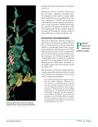 Page 3ATTRAwww.attra.ncat.org
farmed for fresh market sale of edamame
in the U.S.
Producers need to consider which mar-
kets to target. Japanese consumers pre-
fer edamame on the stalk or in-pod, while
fresh shelled beans are preferred by Chi-
nese consumers. Small-scale producers
will probably want to target fresh markets,
since setups to produce shelled beans may
be expensive. Freshness of produce is the
key to gaining the Chinese market. Experts
recommend limiting the market radius to
about 200 miles to ensure freshness. (4)
Economic Considerations
Research in Kentucky indicates break-even
prices for fresh edamame at about $22 per
20- to 25-pound box of fresh edamame,
which is considerably higher than current
frozen wholesale edamame prices. (6) This
high break-even price is due to high labor
costs to both harvest and pack fresh mar-
ket edamame. (6) Evidence suggests that
considerable value is added by marketing
on-stalk to a strong Japanese market base.
Marketing the whole plant (bunched on
the stalk) requires the least amount of time
and labor. (7)
The Kentucky researchers found that har-
vesting (especially when hand labor is used)
and post-harvest handling are the main
costs to edamame production.
For small-scale production, hand harvest is
the most viable technique. Machine har-
vest, however, is deﬁnitely more economi-
cal; some estimates indicate machine harvest
can cut edamame production costs by up to
25 percent. Total expenses per acre, includ-
ing ﬁxed costs, are projected to be $6,750
to $11,250. Edamame has the potential to
return $400 to $1,300 per acre to land and
management on the fresh, wholesale market.
For those producers with access to a direct
local market for fresh edamame, returns can
reach $2,500 per acre. (6)
Edamame plant that is six feet tall. Photo by
Stephen Ausmus. Photo courtesy of USDA/ARS.
P
roducers
need to con-
sider which
markets to target.
 