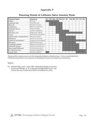 ATTRA// Farmscaping to Enhance Biological Control Page 5
of managing cover crops for pest control in
orchard systems. In all instances, this
farmscaping technique resulted in significant
reductions in pesticide applications.
Annual cropping systems are much less stable
than perennial ones. Depending on the amount
of tillage involved, the ecology of annual
systems, both above and below ground, is
dramatically altered every year. To help anchor
the ecology of an annual system, consider
planting “permanent” insectary strips or
hedgerows in or along an annual crop field.
The idea of undisturbed beneficial habitat
distributed at intervals in or around crop fields
is a theme common to many farmscaping
techniques. Depending on the plant species,
these “perennial islands” provide food
resources for beneficial organisms as well as
overwintering sites from which crops can be
colonized in the spring. Kenny Haines, a
vegetable grower in North Carolina who
practices farmscaping, notes that his insectary
strips provide a “meetin’ place” for the
beneficials. Springtime environments of annual
cropping systems are characterized by
extremes of temperature, sunlight and
humidity—conditions in which colonization
and survival of beneficials is unlikely without
good habitat nearby. For details on how some
farmers (including Kenny Haines) incorporate
a “permanent” component into their annual
fields, see Appendix D.
Healthy Soil Ecology
Many organisms, including pest insects
associated with both perennial and annual
crops, spend part of their life cycle in the soil.
A diverse soil ecology maintained with regular
additions of organic matter helps to regulate
populations of both pest and beneficial
organisms (4, 5, 6).
Insectary Plants: Characteristics and
Strategies
Experimentation is the key to finding a
successful combination of planting systems,
ground covers/mulches, and management
practices that work best for the unique soil and
environmental conditions of a particular farm
and crop.
As a first step, the producer should choose
plants that provide good habitat for the desired
predators or parasites, and at the same time,
do not harbor insects that are likely to become
pests. For example, subterranean clover
harbors many beneficials like big-eyed bugs,
and also harbors relatively few Lygus species.
pests. Avoid aggressive, invasive plants and
those that may act as reservoirs for diseases
that attack surrounding crops. (See box on
page 9 for more information about invasive
plants.)
Cover crops that are good insectary plants
include buckwheat, sweet clover, faba beans,
vetch, red clover, white clover, mustards, and
cowpeas. Herbaceous plants that are good
insectary plants and which may be planted in
strips include species in the carrot
(Apiaceae=Umbelliferae), sunflower
(Asteraceae=Compositae), and mint
(Lamiaceae) families. (Refer to appendices A,
B, and C for detailed information on pests,
beneficials, and seed blends for plants that
attract beneficials.)
In many instances, floral structure is an
important consideration. Beneficials with short
mouthparts, such as the tiny parasitic wasps,
find it easy to obtain nectar and pollinate
plants in the parsley and sunflower families
because of the small, shallow flowers these
species provide. Plants that possess extrafloral
nectaries (nectar sources outside the flower),
such as faba beans, cowpeas, vetch, and
several native ground covers, provide
beneficials with easy access to an important
food source in addition to the nectar and
pollen of their flowers.
Recent work in Georgia investigated the
importance of different food sources—
extrafloral nectaries, honeydew (a liquid
emitted by whiteflies, aphids, scales, and
leafhoppers, composed of unused portions of
plant sap as well as certain waste products of
the insects), sucrose, or no food sources—on
Appendix F
Common Name Genus/ sp. Jan Feb Mar Apr May Jun Jul Aug Sep Oct Nov Dec
Willow Salix spp.
California lilac Ceanothus spp.
Mule fat Baccharis viminea
Coffeeberry Rhanmus californica
Hollyleaf cherry Prunus ilicifolia
Yarrow* Achillea millefolium
Silverlace vine Polygonum aubertii
Toyon Heteromeles arbutifolia
Golden sticky monkeyflower Mimulus guttatus
Elderberry Sambucus mexicana
California buckwheat** Eriogonum fasciculatum
Deergrass Muhlenbergia rigens
Creeping boobialla Myoporum parvifolium
California fuchsia Zauschneria californica
Narrowleaf Milkweed Asclepias fascicularis
St. Catherine's lace Eriogonum giganteum
Coyote bush Baccharis pilularis
*Insects prefer common yarrow over the ornamental (salmon-colored) yarrows. Yarrow reseeds itself well.
**California buckwheat is very attractive to beneficials, but also very sensitive to overwatering.
Source:
F1) Kimball, Mary, and C. Lamb. 1999. Establishing Hedgerows for Pest
Control and Wildlife. p. 16. In: Bring Farm Edges Back to Life! Yolo
County Resource Conservation District, Woodland, CA. 105 p.
Flowering Periods of California Native Insectary Plants
ATTRA// Farmscaping to Enhance Biological Control Page 36
 