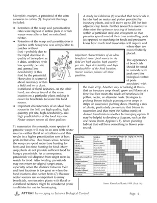 ATTRA// Farmscaping to Enhance Biological Control Page 6
Microplitis croceipes, a parasitoid of the corn
earworm in cotton (7). Important findings
included:
♦ Retention of the wasp and parasitization
rates were highest in cotton plots in which
wasps were able to feed on extrafloral
nectar.
♦ Retention of the wasp and parasitization in
patches with honeydew was comparable to
patches without
food—probably due to
the rapid decrease in
quality of honeydew as
it dries, combined with
low quantity per site
and general low
detectability of this
food by the parasitoid.
Honeydew is scattered
about randomly within
a field and on a plant.
Extrafloral or floral nectaries, on the other
hand, are always found at the same
location on a particular plant, making it
easier for beneficials to locate this food
source.
♦ Important characteristics of an ideal food
source in the field are high quality, high
quantity per site, high detectability, and
high predictability of the food location.
Nectar sources possess all these qualities.
To summarize this research, some species of
parasitic wasps will stay in an area with nectar
sources—either floral or extrafloral—and this
results in a higher parasitization rate of host
pests in that area. This makes sense, because
the wasp can spend more time hunting for
hosts and less time hunting for food. Many
crop plants do not provide sufficient food for
hungry parasitoids. As a consequence,
parasitoids will disperse from target areas in
search for food. After feeding, parasitoids
may not return to original target areas,
especially when the distance between food
and host locations is too great or when the
food locations also harbor hosts (7). Because
nectar sources are so important to many
beneficials, non-invasive plants with floral or
extrafloral nectaries might be considered prime
candidates for use in farmscaping.
A study in California (8) revealed that beneficials in
fact do feed on nectar and pollen provided by
insectary plants, and will move up to 250 feet into
adjacent crop lands. Further research is needed to
determine the optimum spacing of insectaries
within a particular crop and ecosystem so that
parasites spend most of their time controlling pests
(as opposed to searching for food) and producers
know how much land insectaries will require and
where they are
most effectively
placed.
The appearance
of beneficials
should be timed
to coincide with
peak need for
biological control
of pests
associated with
the main crop. Another way of looking at this is
that an insectary crop should grow and bloom at a
time that best meets the needs of beneficials for
pollen, nectar, or alternate hosts. Strategies to
prolong bloom include planting cover crops in
strips on successive planting dates. Planting a mix
of plants, particularly perennials, that bloom in
succession and that meet the habitat needs of
desired beneficials is another farmscaping option. It
may be helpful to develop a diagram, such as the
one below (from Appendix F), when planning
habitat that will have something in flower year-
round.
Important characteristics of an ideal
beneficial insect food source in the
field are high quality, high quantity
per site, high detectability and high
predictability of the food location.
Nectar sources possess all these
qualities.
CommonName Genus/ sp. Jan Feb Mar Apr May Jun Jul Aug Sep Oct Nov Dec
Willow Salixspp.
Californialilac Ceanothusspp.
Mulefat Baccharisviminea
Coffeeberry Rhanmuscalifornica
Hollyleafcherry Prunusilicifolia
Yarrow* Achilleamillefolium
Silverlacevine Polygonumaubertii
Toyon Heteromelesarbutifolia
Goldenstickymonkeyflower Mimulusguttatus
Elderberry Sambucusmexicana
Californiabuckwheat** Eriogonumfasciculatum
Deergrass Muhlenbergiarigens
Creepingboobialla Myoporumparvifolium
Californiafuchsia Zauschneriacalifornica
NarrowleafMilkweed Asclepias fascicularis
St.Catherine'slace Eriogonumgiganteum
Coyotebush Baccharispilularis
Appendix E
Task Date of
Cost Estimate
Labor Material Equipment Total
Hedgerow Installation
Hedgerow design Nov. 96 $260.00 Survey flags: $8.00 $268.00
Roundup: summer weed control Aug. 96 $20.00 Roundup $30.00 ATV+sprayer: $8.08 $58.08
Disk: pre-plant weed control Oct. 96 $10.00 Tractor+disc: $18.08 $28.09
Bed preparation: plants/grasses Oct. 96 $10.00 Tractor+bedshaper: $14.33 $24.33
Fertilize-preplant (tablets) Nov. 96 $20.00 Fertilizer: $43.50 $63.50
Plant trees, shrubs, and forbs Nov. 96 $120.00 Plants: $500 $620.00
Install 2' Tubex tree tubes Nov. 96 $50.00 Tubex: $172.00 $222.50
Plant grasses (broadcast) Nov. 96 $20.00 Seed: $275.00 $295.00
Harrow to cover grass seed Nov. 96 $10.00 ATV+harrow: $4.04 $14.04
Roundup: annual weed control Nov. 96 $10.00 Roundup: $15.00 $25.00
Ronstar-G: apply in plant row Nov. 96 $10.00 Ronstar-G" $75.00 $85.00
Install drip irrigation system Mar. 97 $100.00 Drip supplies: $200.00 $300.00
Total Installation $640.00 $1,319.00 $44.54 $2,003.54
Task Date of
Cost Estimate
Labor Material Equipment Total
Hedgerow Maintenance
2,4 D: Broadleaf weed control Mar. 97 $10.00 2,4 D: $20.00 ATV+sprayer: $4.04 $34.04
Hoe hedge plant row* Mar.-Sep.97 $250.00 $250.00
Irrigate twice/mo. Mar.-Oct.97 $250.00 Emitters/plugs: $8.25 $258.25
Mow grasses: annual weed
control
Apr. 97 $10.00 Tractor+mower: $10.19 $20.19
Remove Tubex Apr-May 97 $20.00 $20.00
Roundup: spot-spray May-Jun 97 $20.00 Roundup: $15 $35.00
Fertilize: preplant (tablets) Sep. 97 $10.00 Fertilizer: $8.70 $18.70
Replant trees, shrubs & forbs Sep. 97 $80.00 Plants: $100.00 $180.00
2,4 D: spot-spray in grasses Sep. 97 $10.00 2,4 D: $10.00 $20.00
Flame: annual grass weed control Oct. 97 $10.00 Propane: $15.00 ATV+flamer: $4.04 $29.04
Ronstar-G: entire hedgerow Oct. 97 $20.00 Ronstar-G: $225.00 $245.00
Mow grasses twice: weed control Mar-May 98 $20.00 Tractor+mower: $20.38 $40.38
Hoe hedge plant row Jun-Jul 98 $120.00 $120.00
Irrigate twice/mo. Apr-Sep 98 $200.00 $200.00
Hoe hedge plant row Jun-Jul 98 $120.00 $120.00
Herbicide: 2,4 D (in grasses) Aug. 98 $10.00 2,4 D: $10.00 $20.00
Total Maintenance $1,160.00 $411.95 $38.65 $1,610.60
Total Cost $1,800.00 $1,730.95 $83.19 $3,614.14
Hedgerow Installation and Maintenance Cost Estimates
For one hedgerow 1400 feet long x 15 feet wide (~.5 acre) planted with a strip of native grasses next to a line of shrubs.
Labor costs are estimated at $10/hr.
Source:
E1) Kimball, Mary, and C. Lamb. 1999. Establishing Hedgerows for Pest Control
and Wildlife. p. 19. In: Bring Farm Edges Back to Life! Yolo County Resource
Conservation District, Woodland, CA. 105 p.
ATTRA// Farmscaping to Enhance Biological Control Page 35
Source: Kimball and Lamb, 1999. (See p. 36)
 