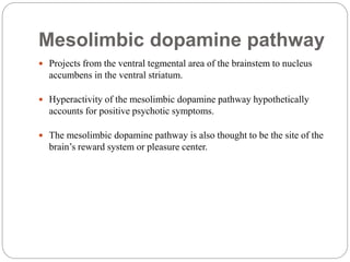 Mesolimbic dopamine pathway
 Projects from the ventral tegmental area of the brainstem to nucleus
accumbens in the ventral striatum.
 Hyperactivity of the mesolimbic dopamine pathway hypothetically
accounts for positive psychotic symptoms.
 The mesolimbic dopamine pathway is also thought to be the site of the
brain’s reward system or pleasure center.
 