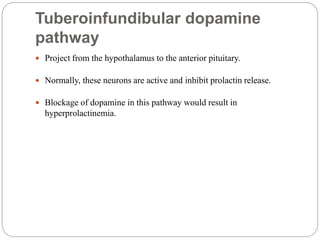 Tuberoinfundibular dopamine
pathway
 Project from the hypothalamus to the anterior pituitary.
 Normally, these neurons are active and inhibit prolactin release.
 Blockage of dopamine in this pathway would result in
hyperprolactinemia.
 