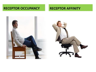 RECEPTOR OCCUPANCY RECEPTOR AFFINITY
 