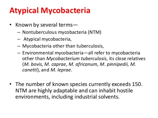 Atypical mycobacteria