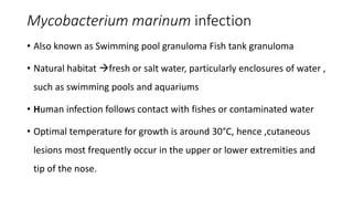 ATYPICAL MYCOBACTERIAL INFECTIONS AND THEIR MANIFESTATIONS | PPTX