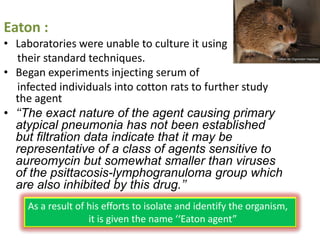 Eaton :
• Laboratories were unable to culture it using
   their standard techniques.
• Began experiments injecting serum of
   infected individuals into cotton rats to further study
  the agent
• ‘‘The exact nature of the agent causing primary
  atypical pneumonia has not been established
  but filtration data indicate that it may be
  representative of a class of agents sensitive to
  aureomycin but somewhat smaller than viruses
  of the psittacosis-lymphogranuloma group which
  are also inhibited by this drug.’’
    As a result of his efforts to isolate and identify the organism,
                   it is given the name ‘‘Eaton agent”
 