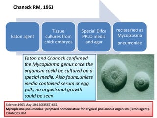 Chanock RM, 1963



                            Tissue              Special Difco        reclassified as
   Eaton agent          cultures from           PPLO media            Mycoplasma
                        chick embryos             and agar            pneumoniae


           Eaton and Chanock confirmed
           the Mycoplasma genus once the
           organism could be cultured on a
           special media. Also found,unless
           media contained serum or egg
           yolk, no organismal growth
           could be seen
Science,1963 May 10;140(3567):662,
Mycoplasma pneumoniae: proposed nomenclature for atypical pneumonia organism (Eaton agent).
CHANOCK RM
 